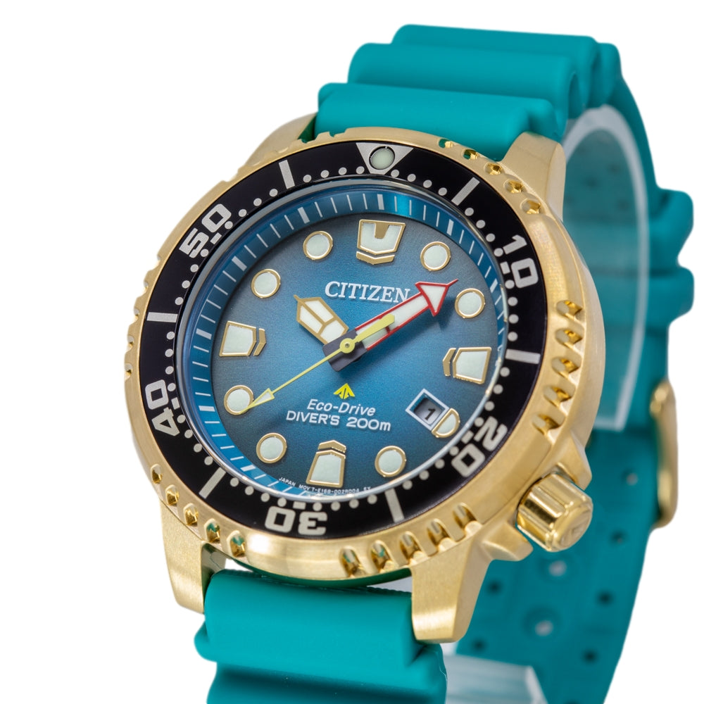 Citizen Men's BN0162-02X Promaster Diver's 200mt Eco-Drive