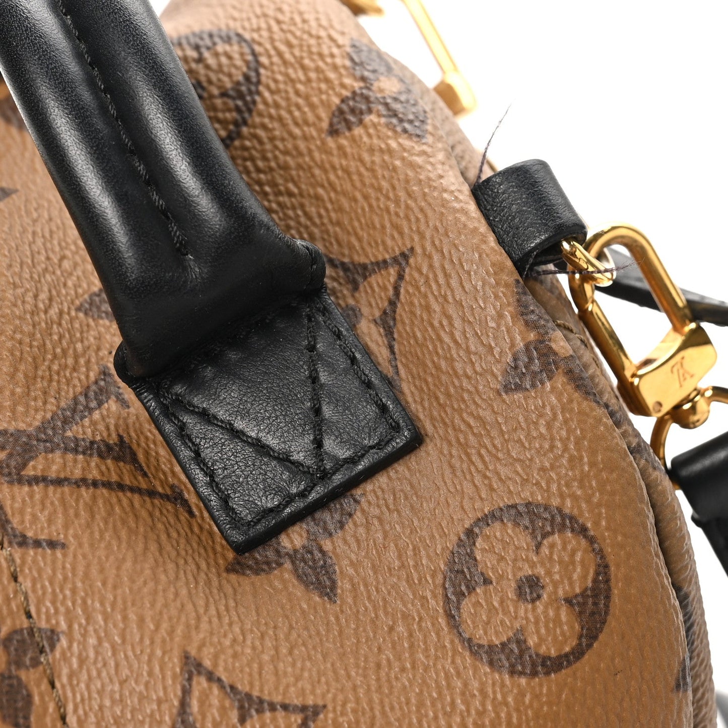 Reverse Monogram Palm Springs Backpack Mini