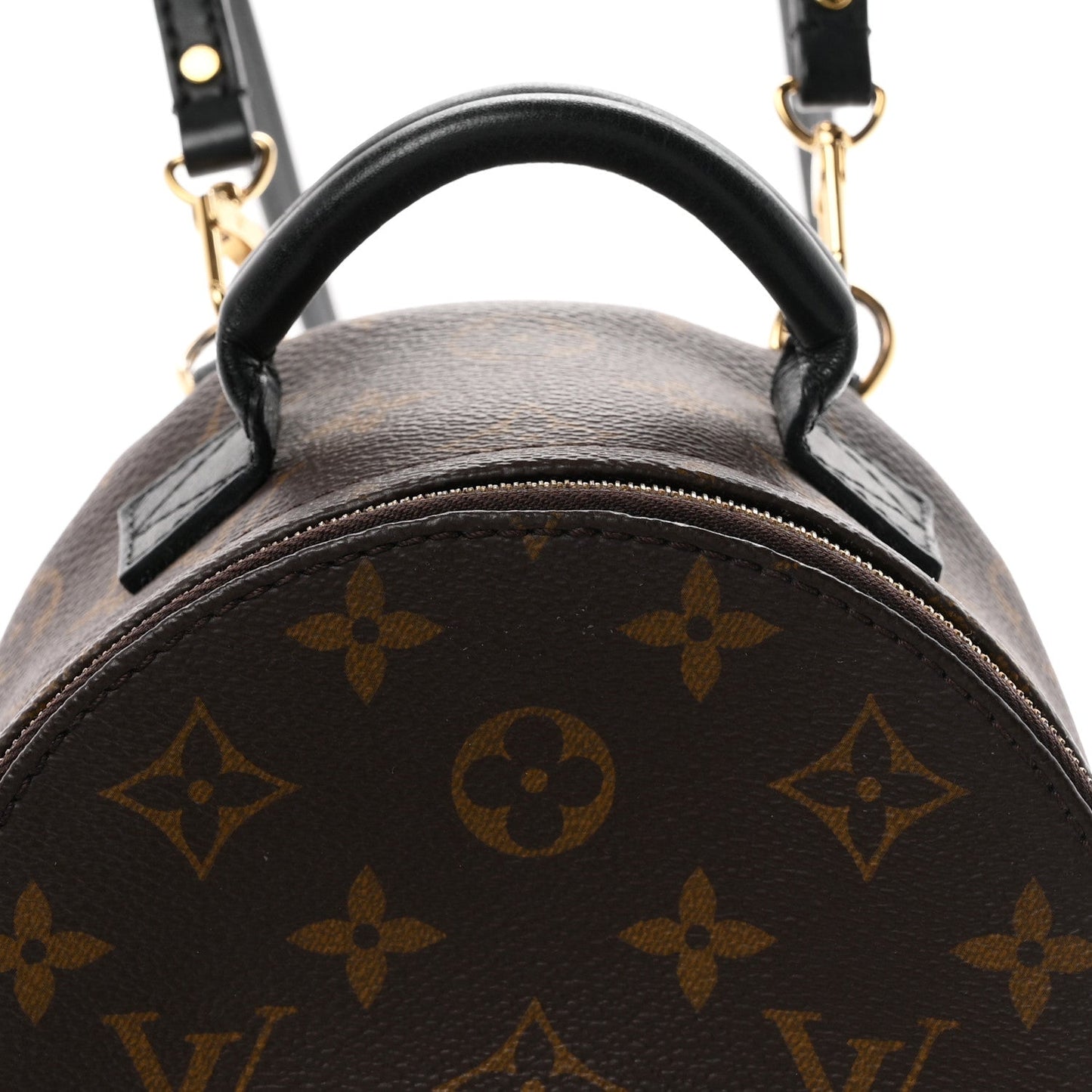 Monogram Palm Springs Backpack Mini