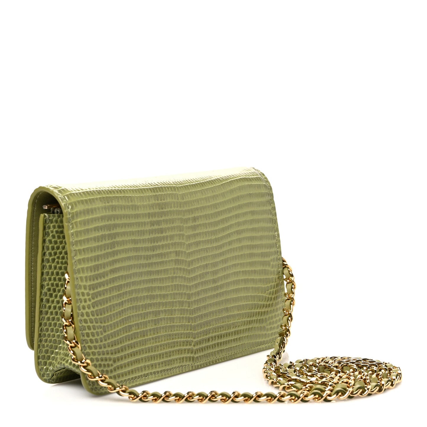 Shiny Lizard Wallet on Chain WOC Green