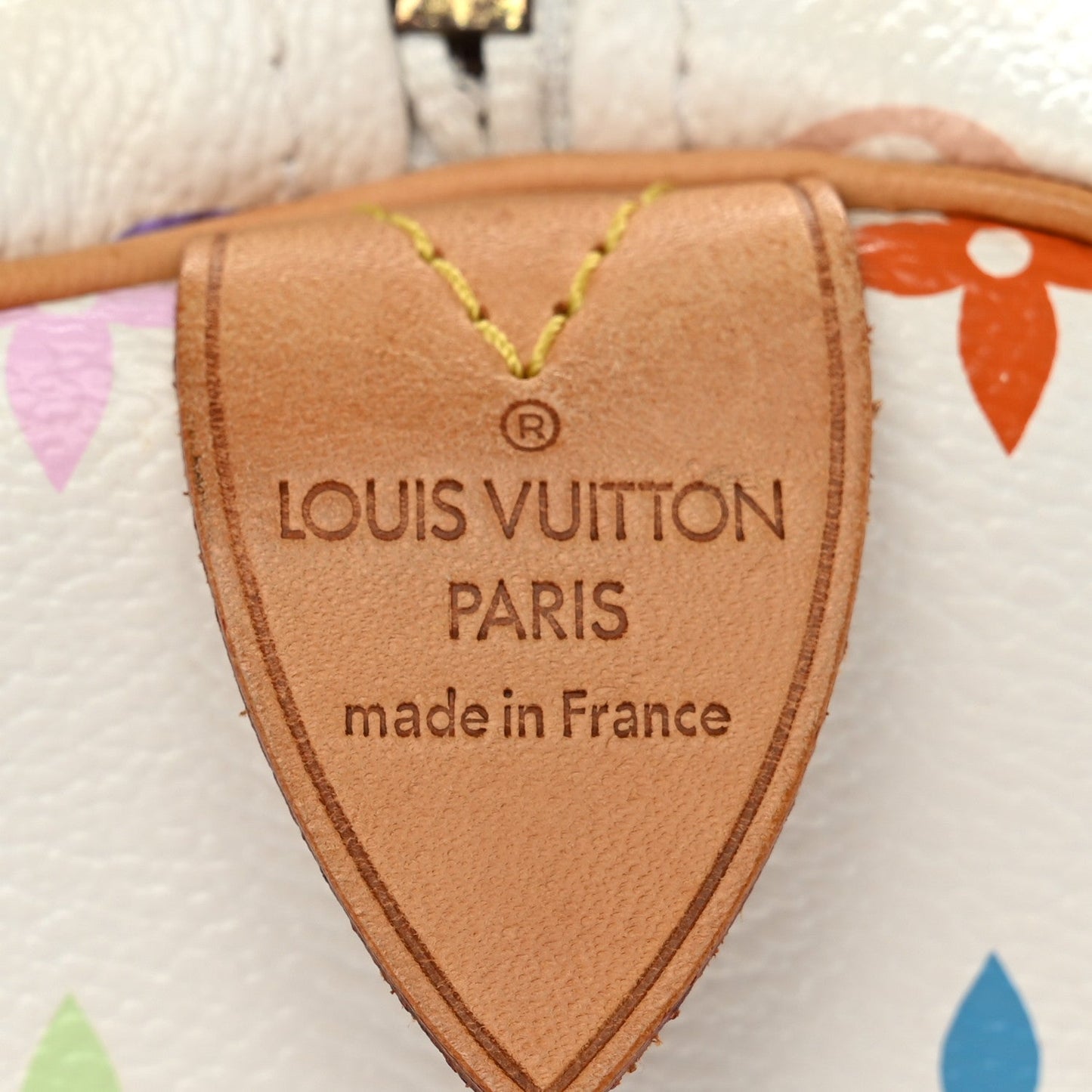 Monogram Multicolor Speedy 30 White