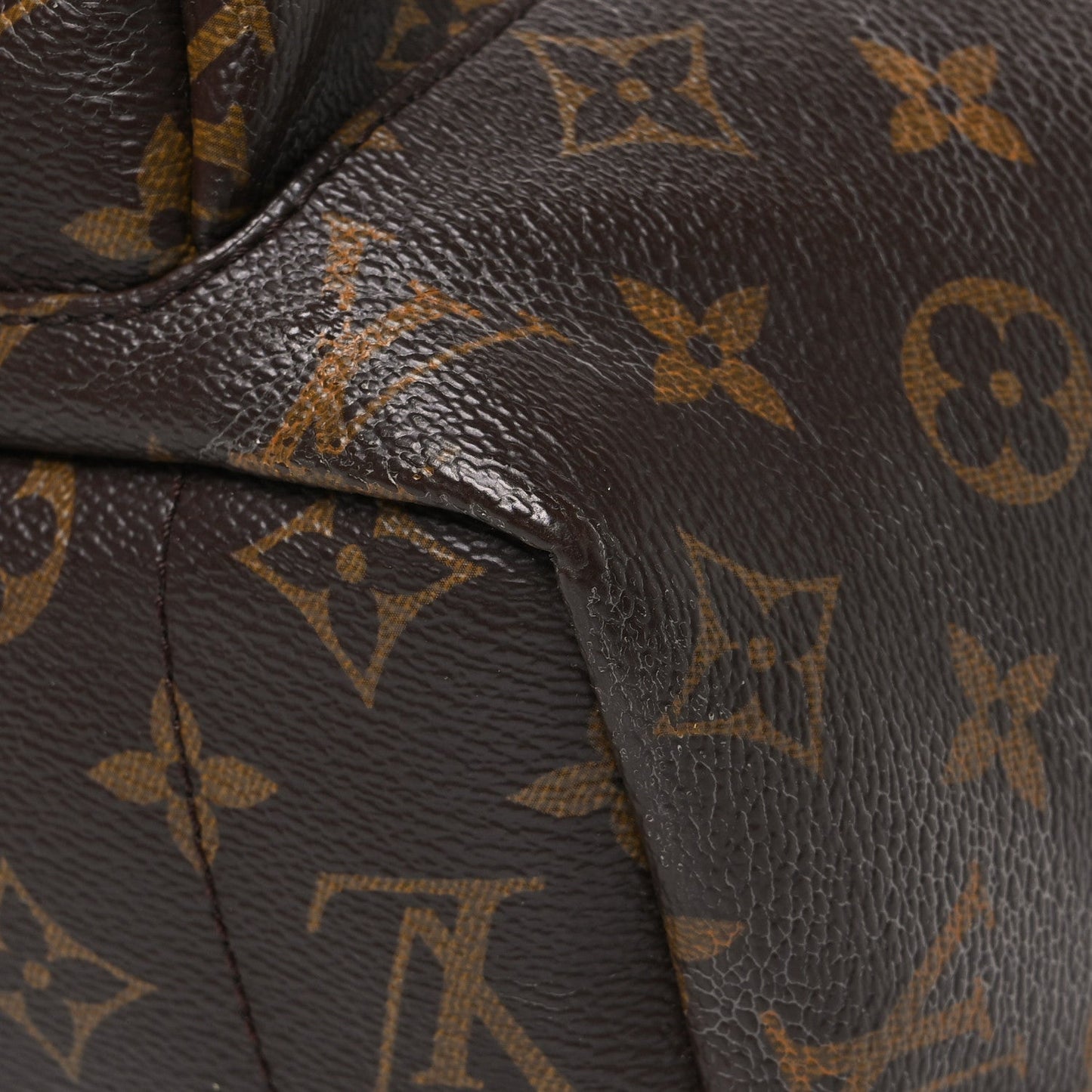 Monogram Palm Springs Backpack MM