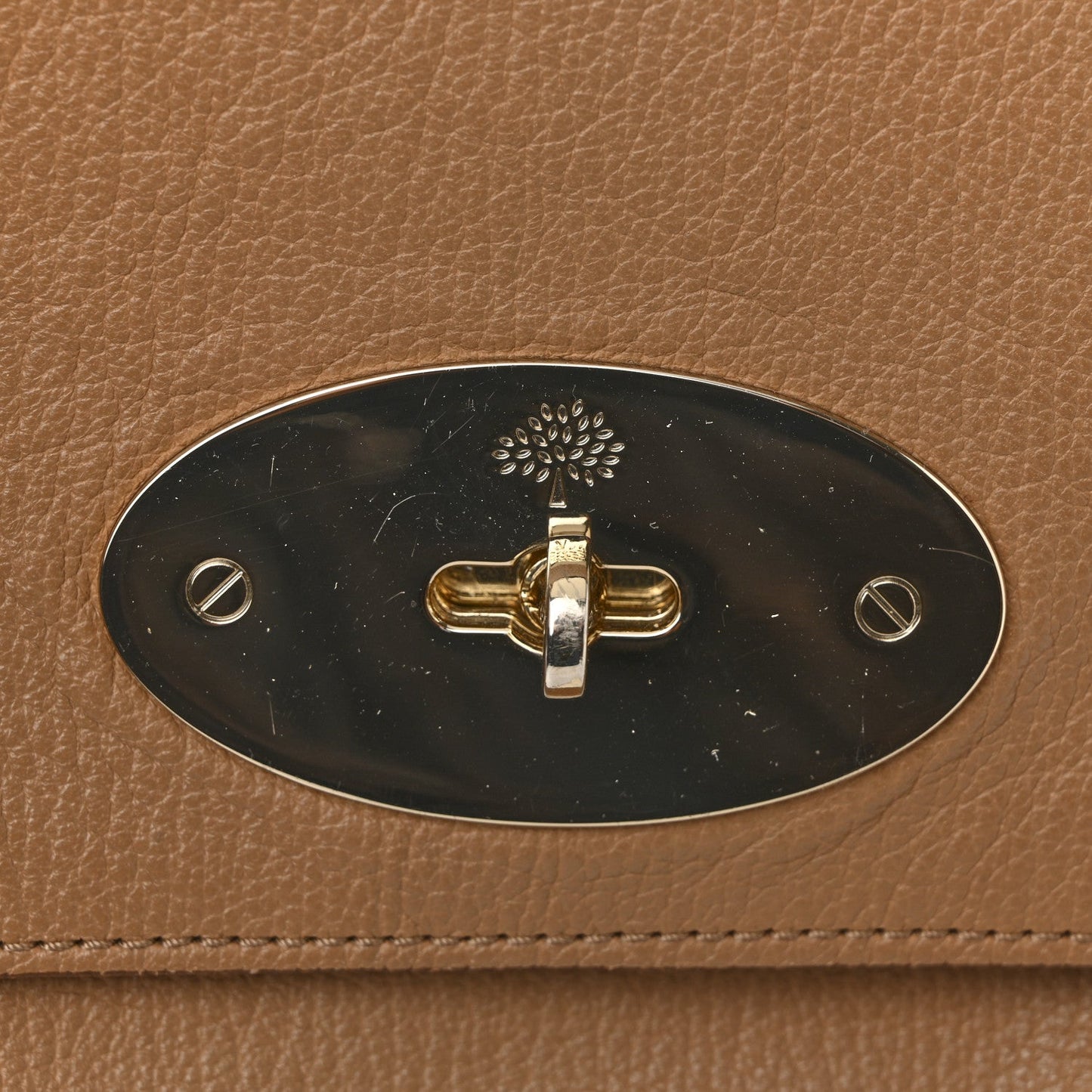 Glossy Goatskin Medium Del Rey Satchel Fudge