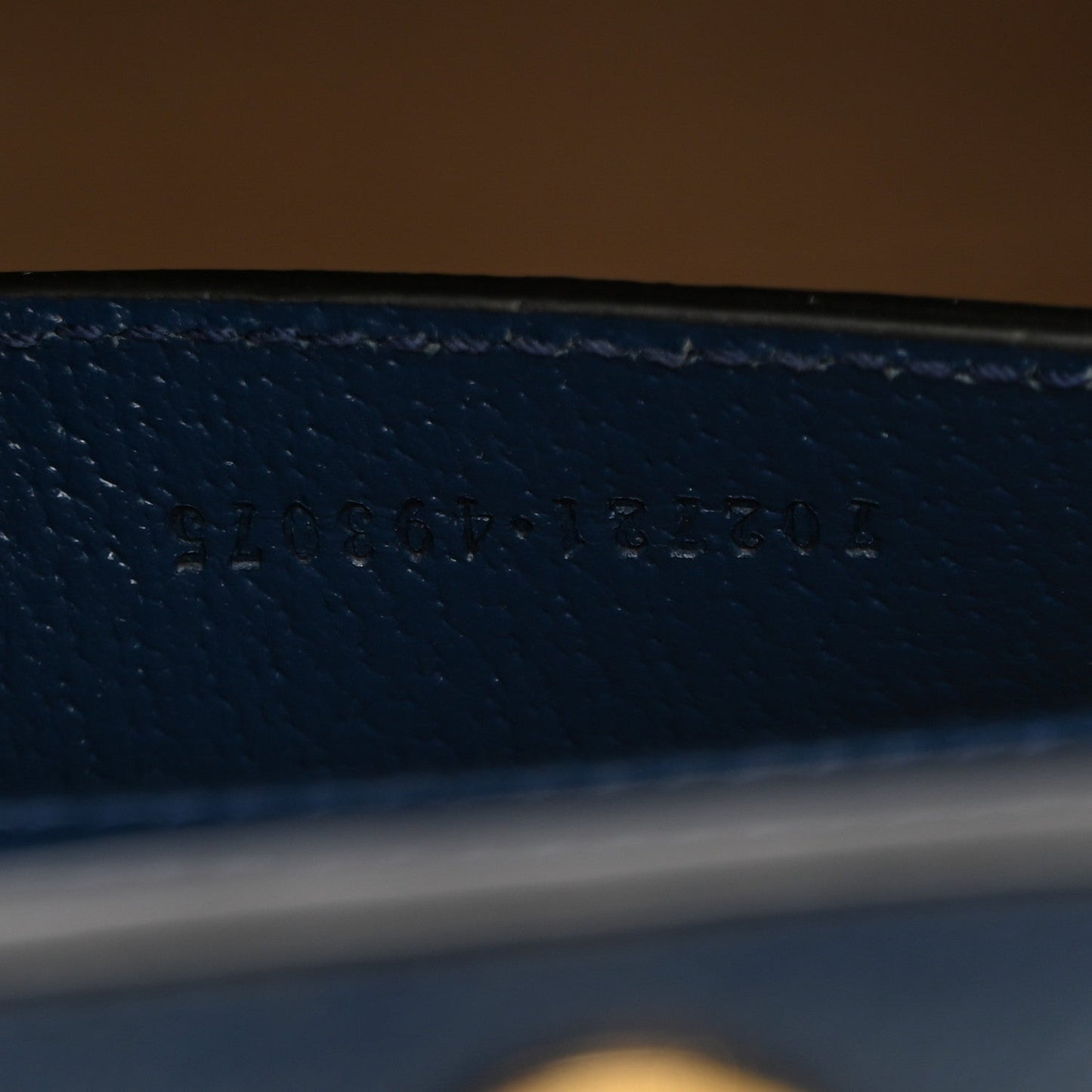 Textured Dollar Calfskin Web Small Diana Tote Bag Royal Crop