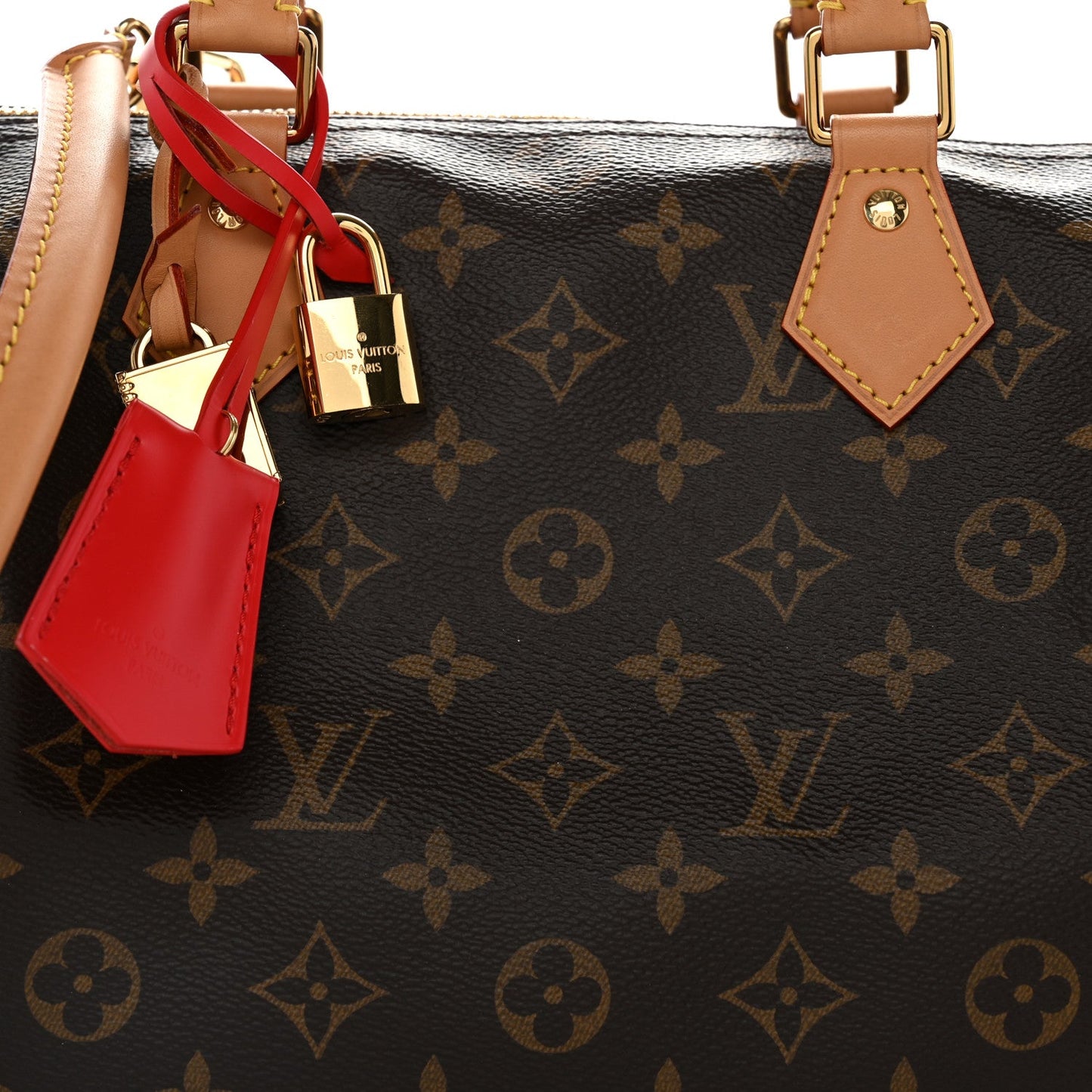Monogram Speedy Soft Crafty 30
