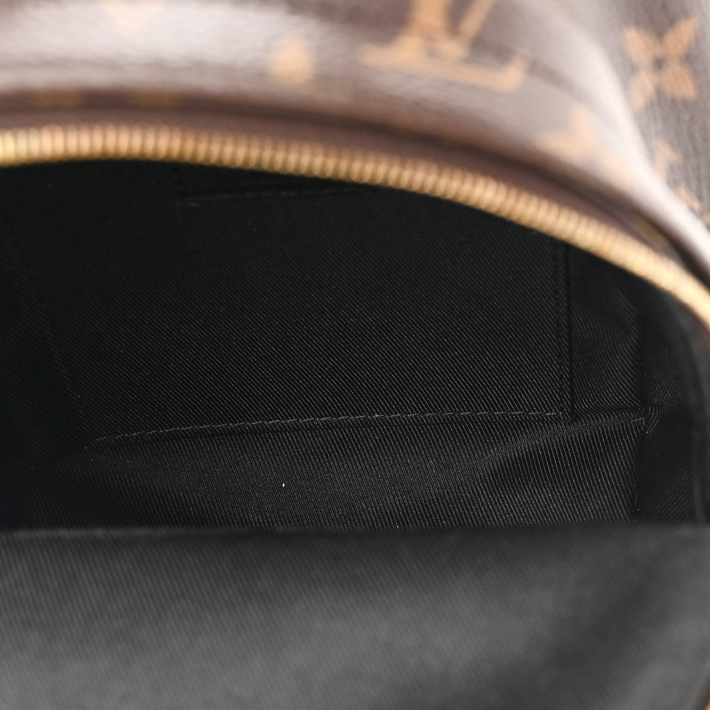 Monogram Palm Springs Backpack Mini