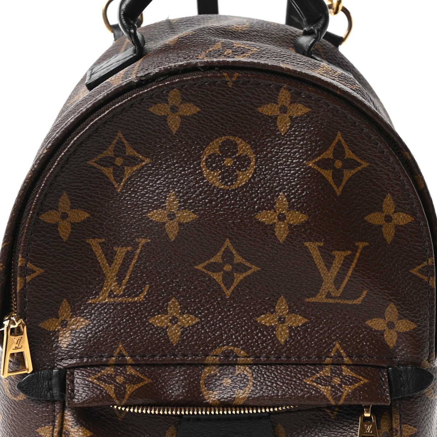 Monogram Palm Springs Backpack Mini