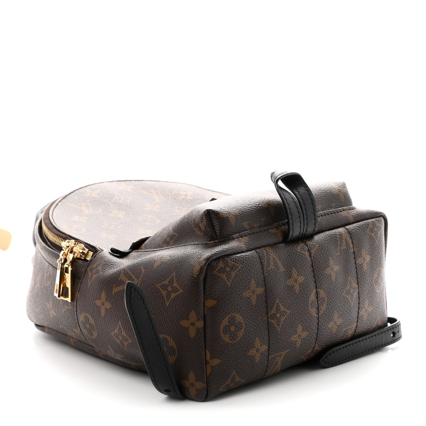 Monogram Palm Springs Backpack PM