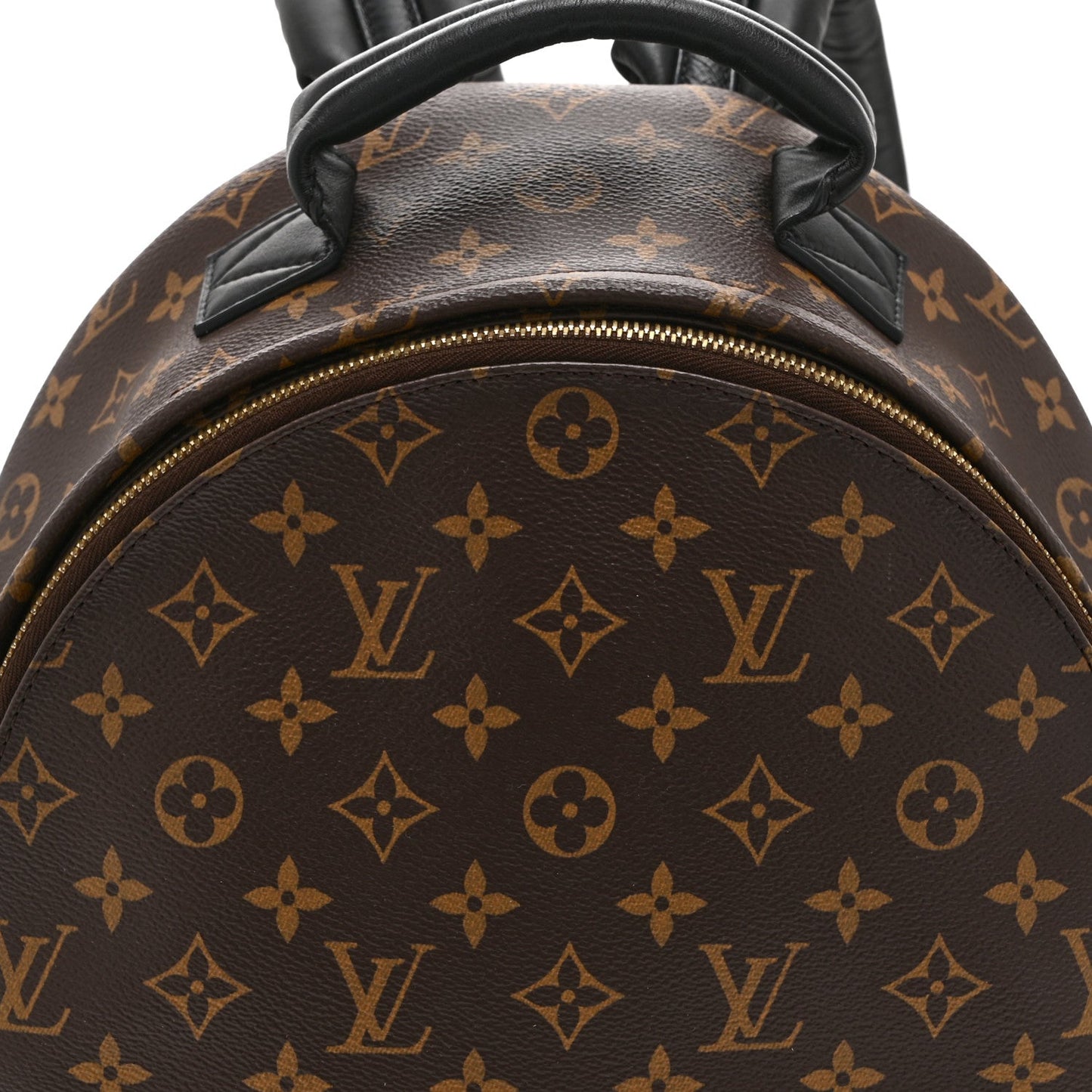 Monogram Palm Springs Backpack MM