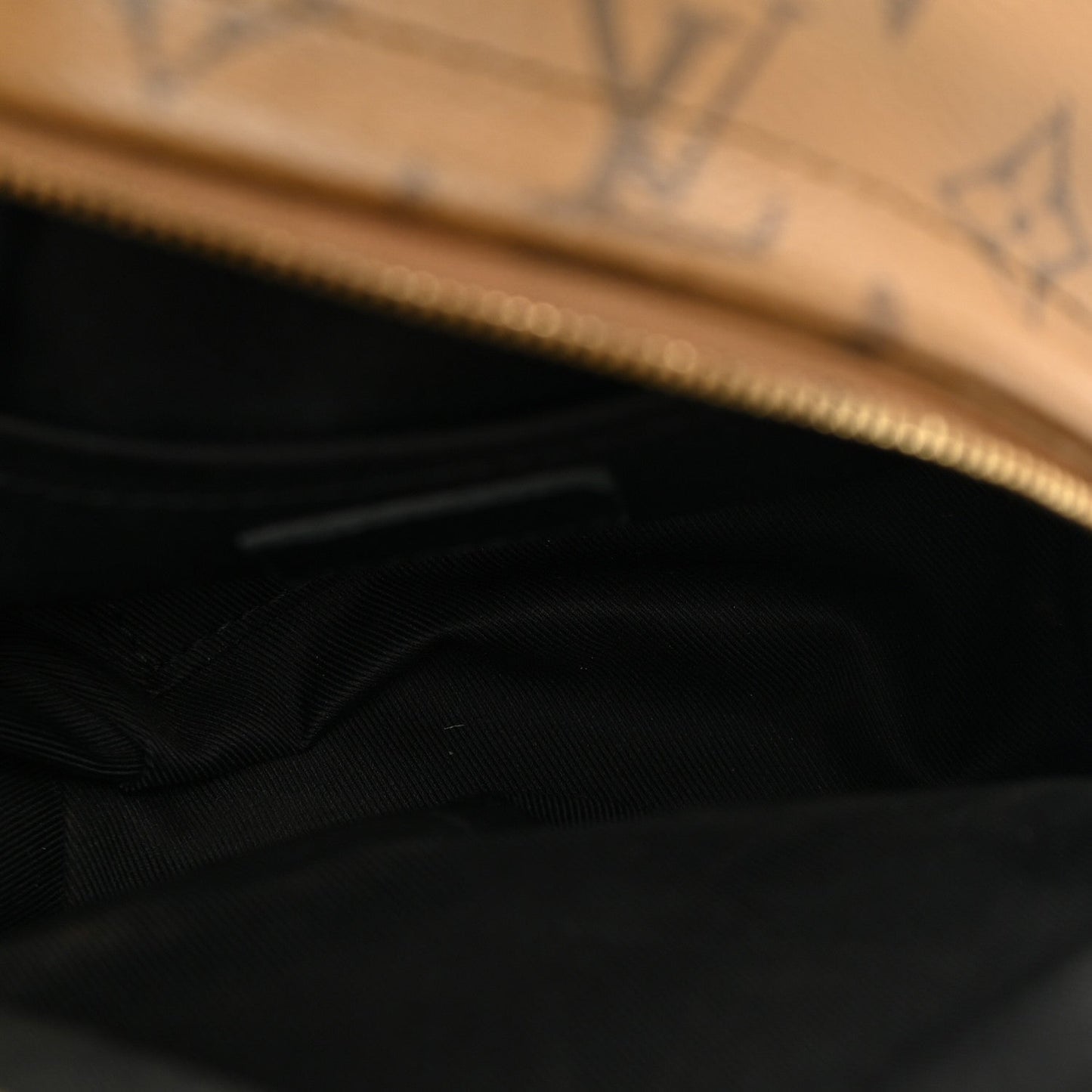 Reverse Monogram Palm Springs Backpack Mini