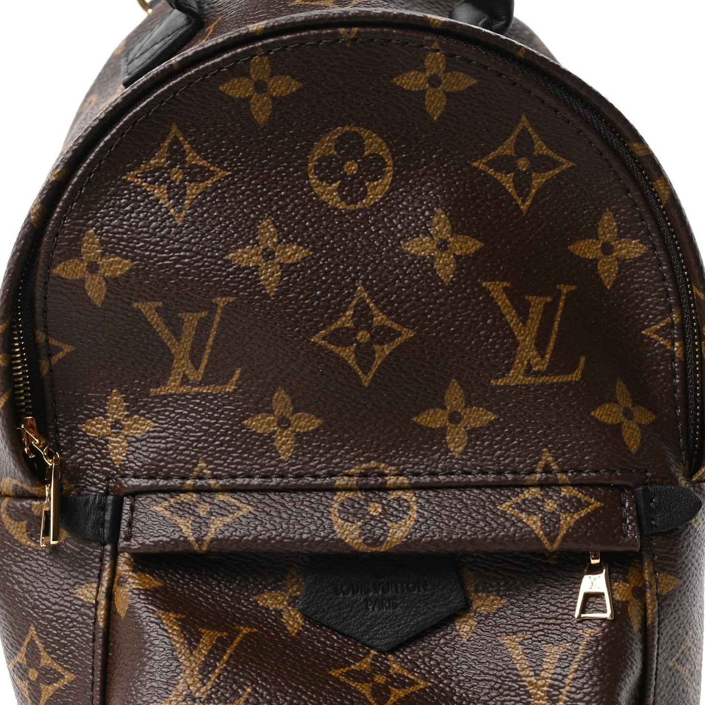Monogram Palm Springs Backpack Mini