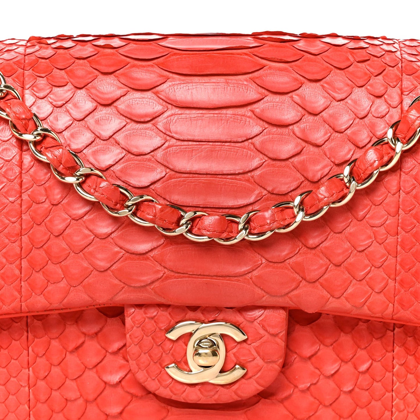 Snakeskin Medium Double Flap Red