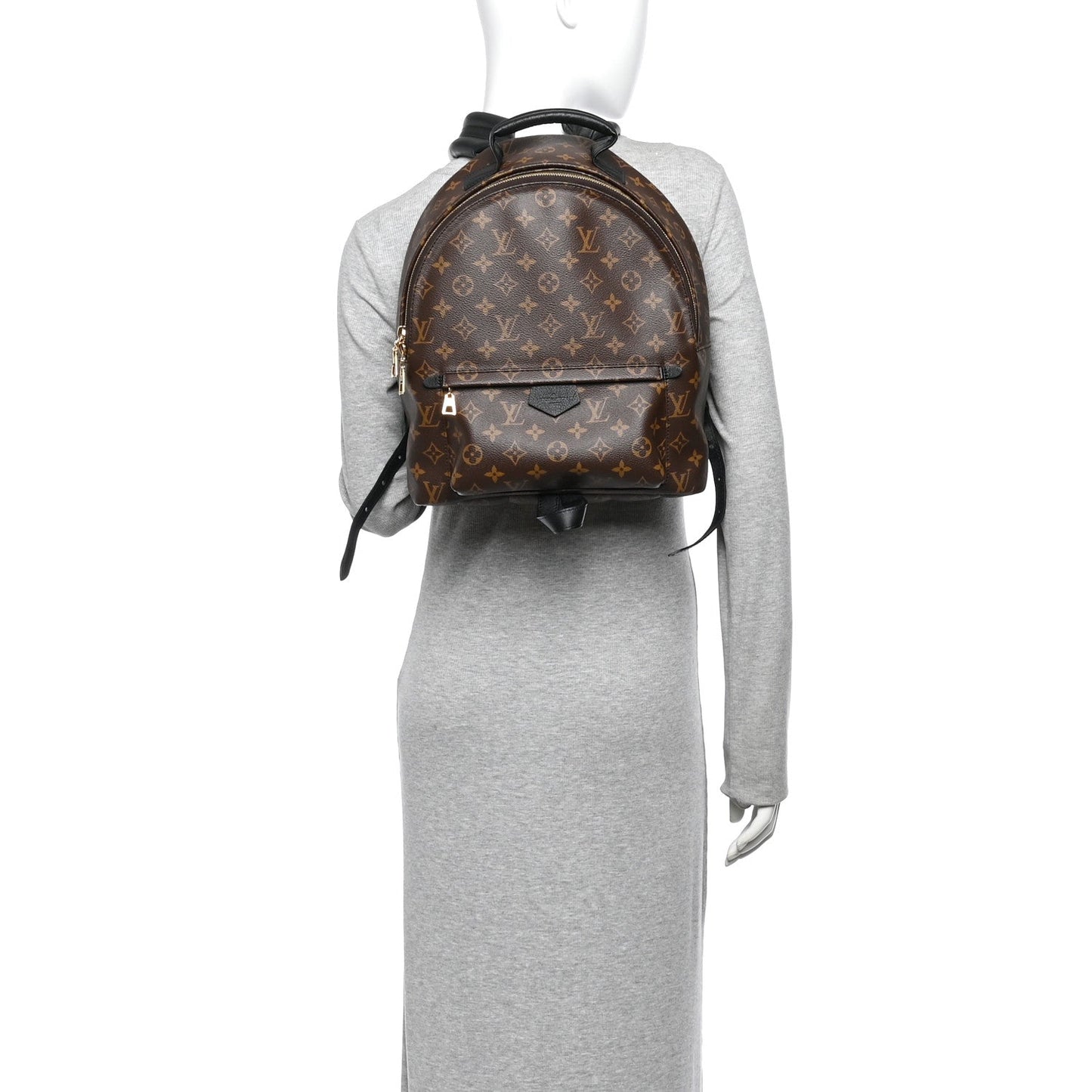Monogram Palm Springs Backpack MM