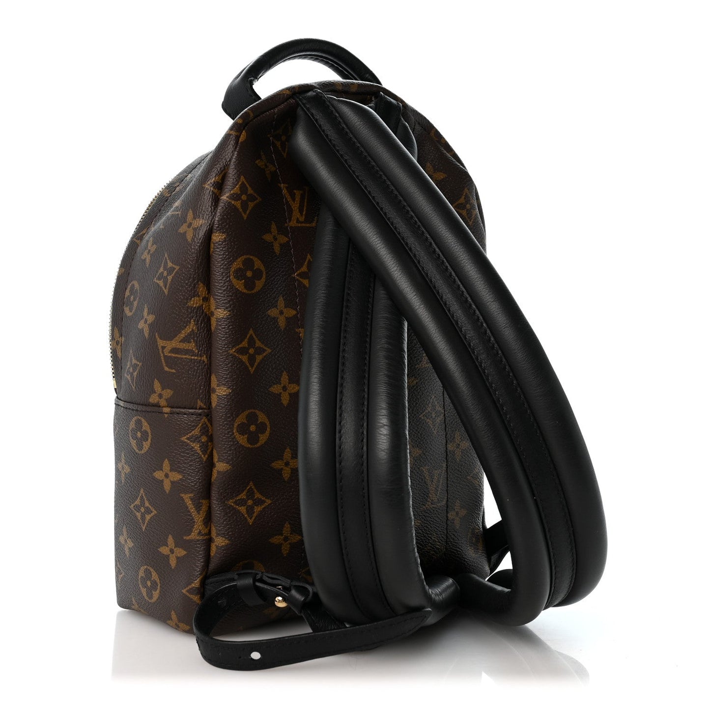 Monogram Palm Springs Backpack PM