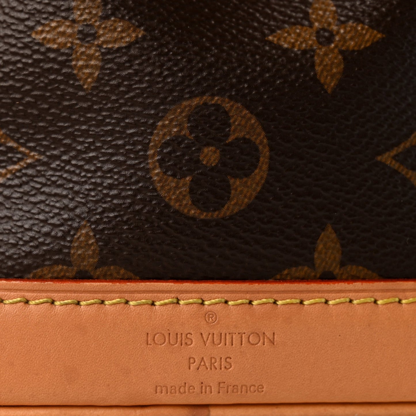 Monogram Nano Noe NV