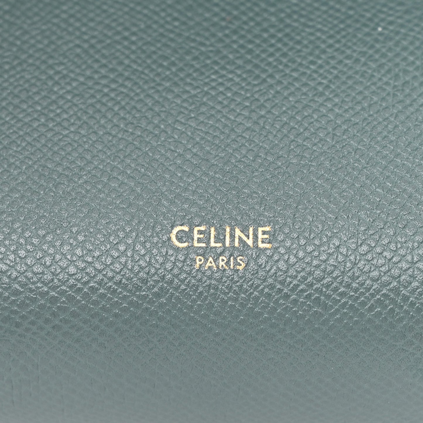 Grained Calfskin Nano Belt Bag Amazone
