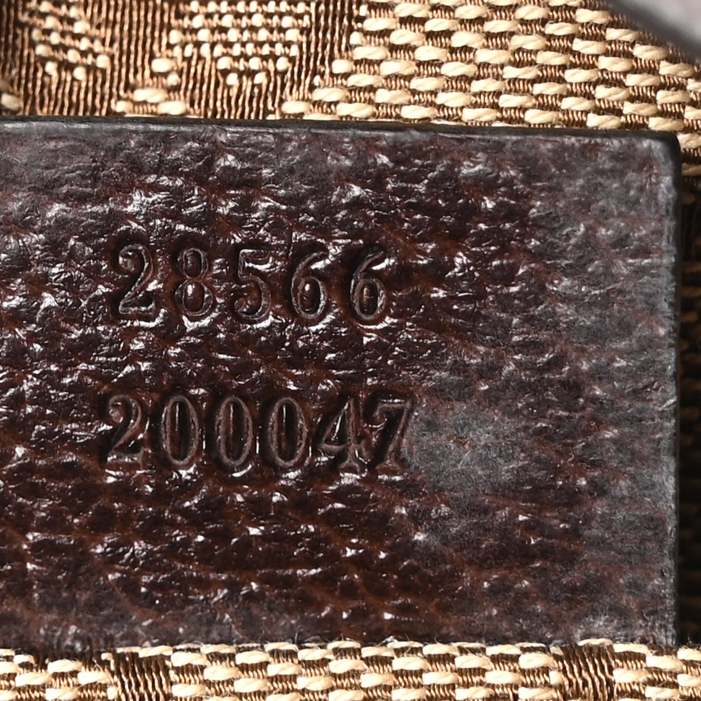 Monogram Web Belt Bag Dark Brown