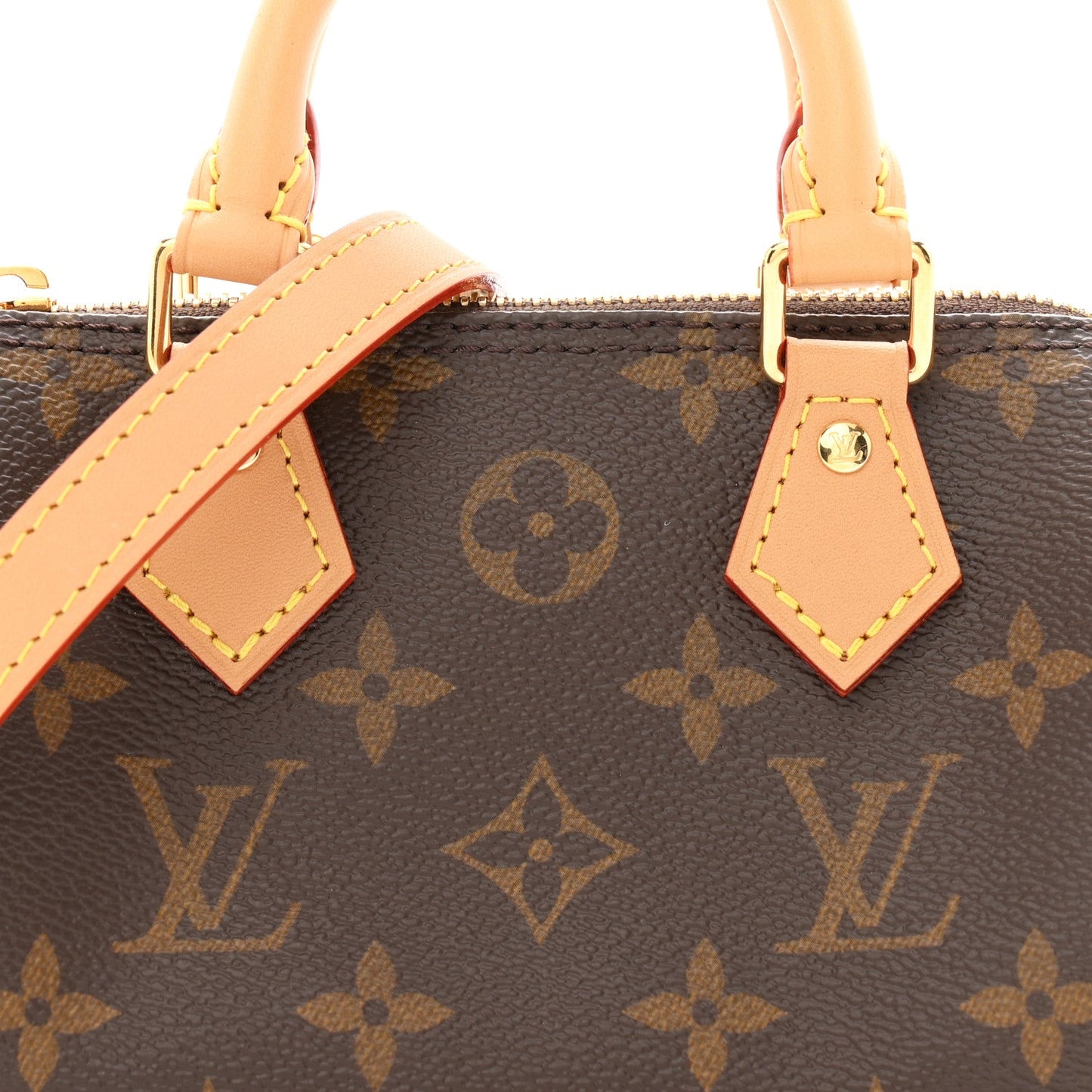 Monogram Nano Speedy Bandouliere