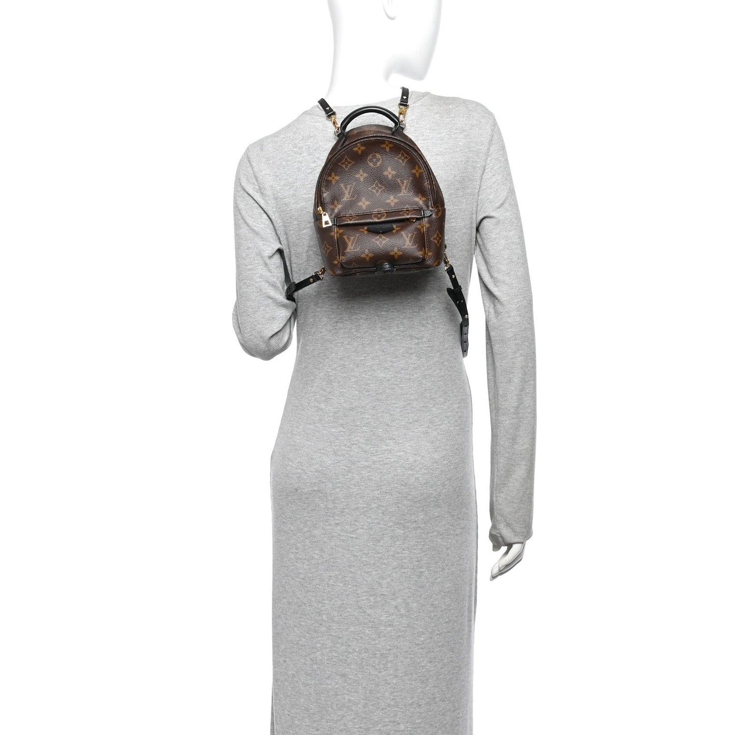 Monogram Palm Springs Backpack Mini