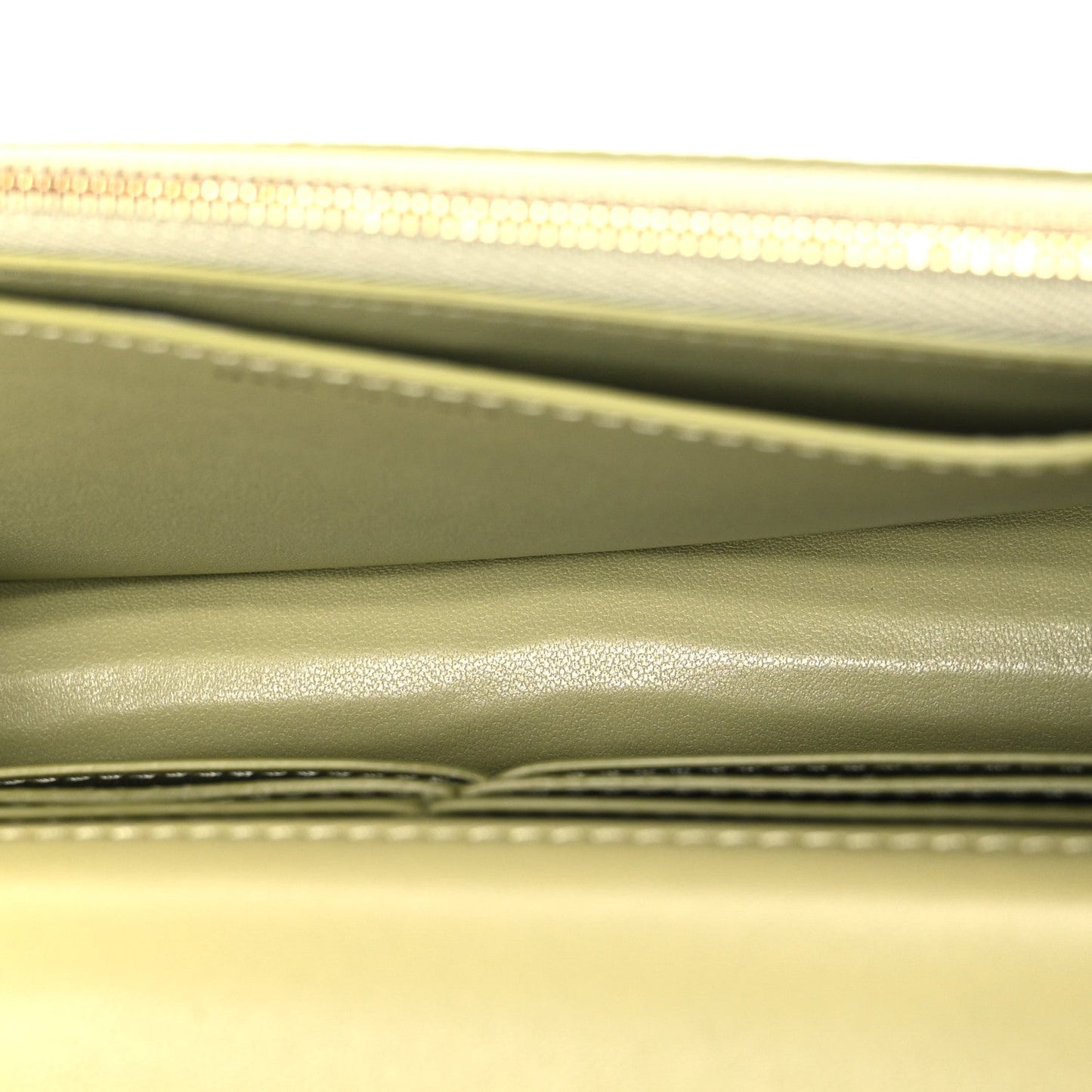 Shiny Lizard Wallet on Chain WOC Green