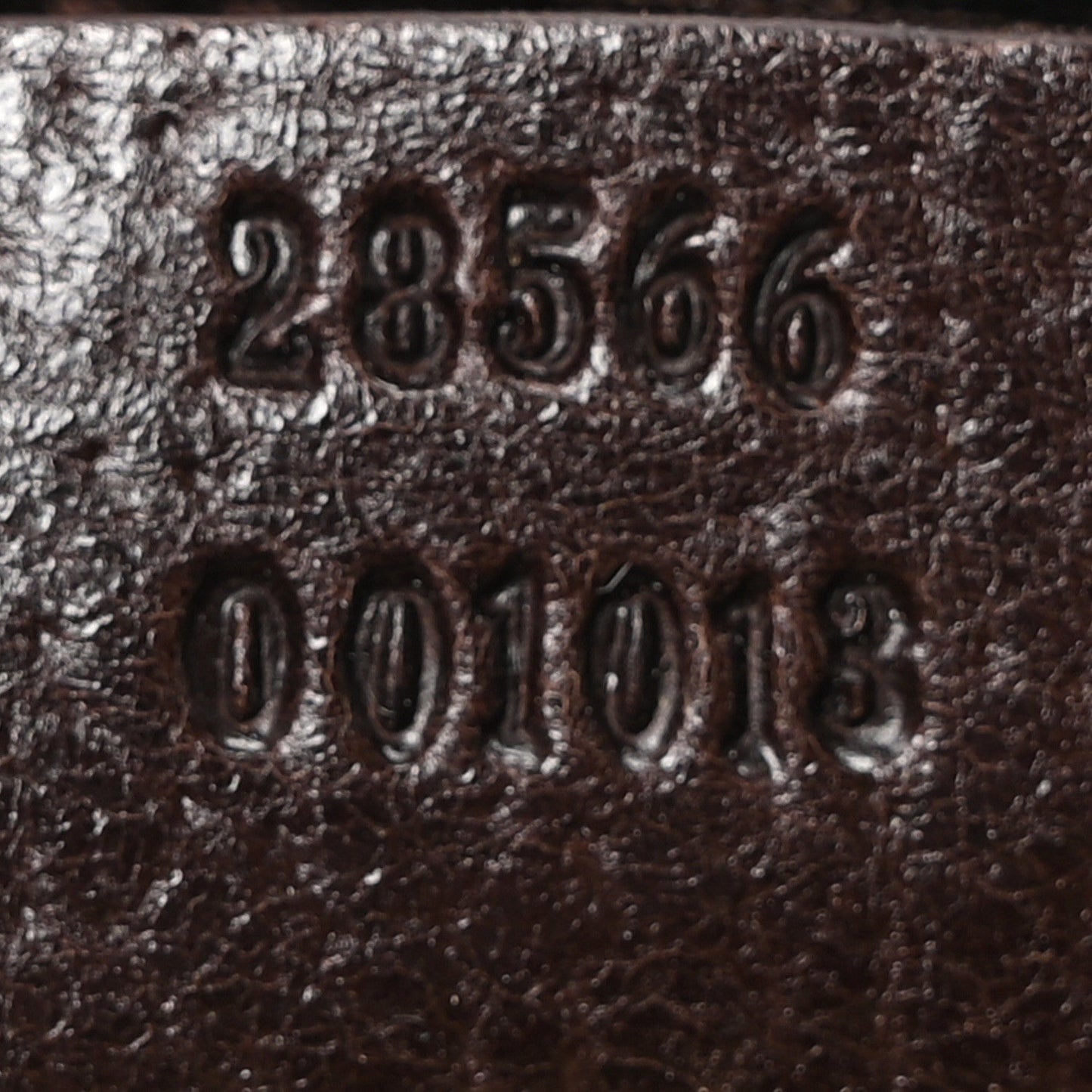 Monogram Web Belt Bag Dark Brown