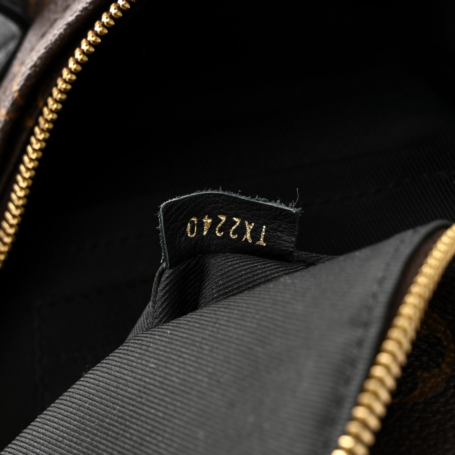 Reverse Monogram Palm Springs Backpack PM