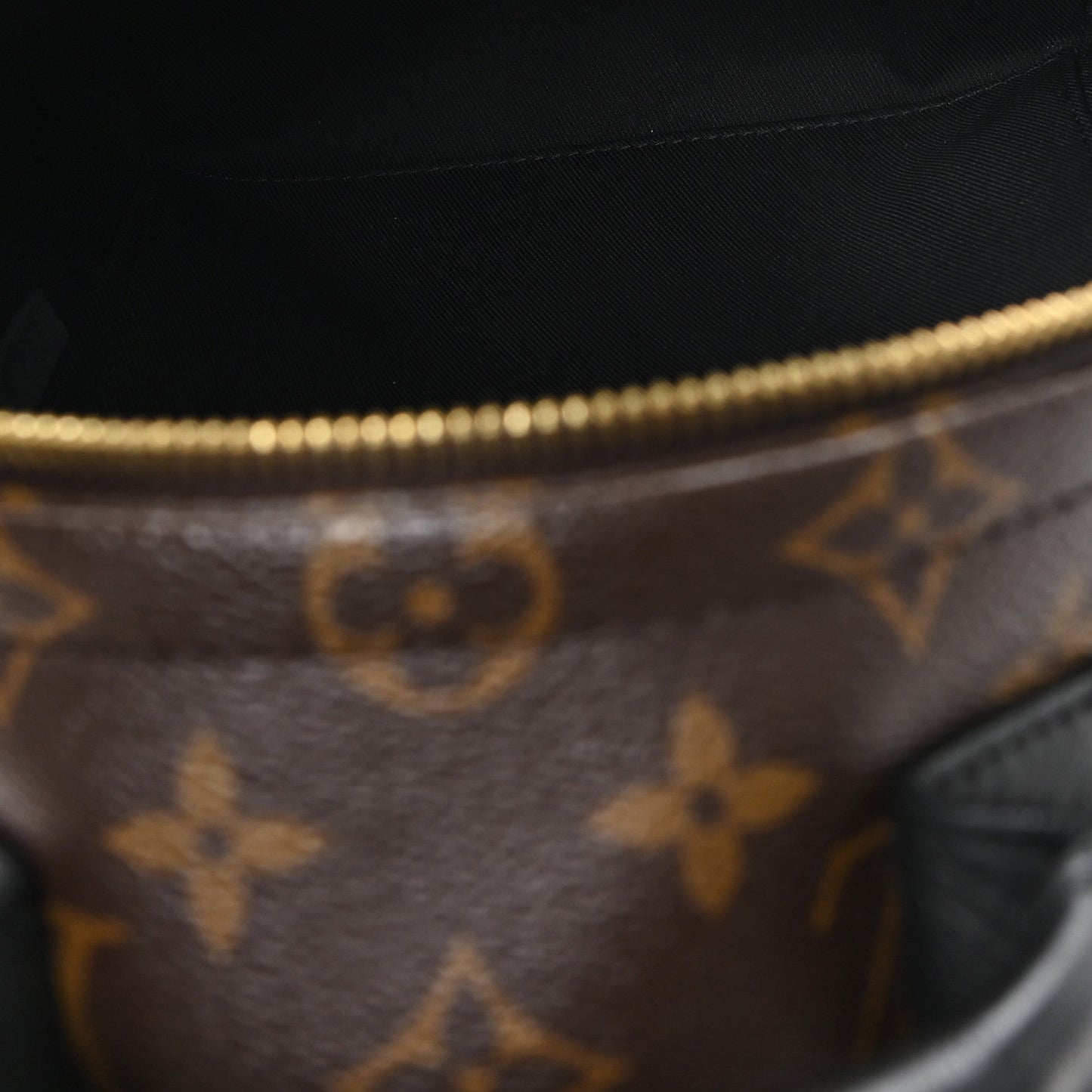 Monogram Palm Springs Backpack PM