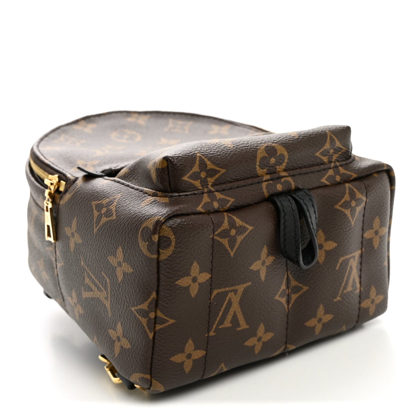 Monogram Palm Springs Backpack Mini