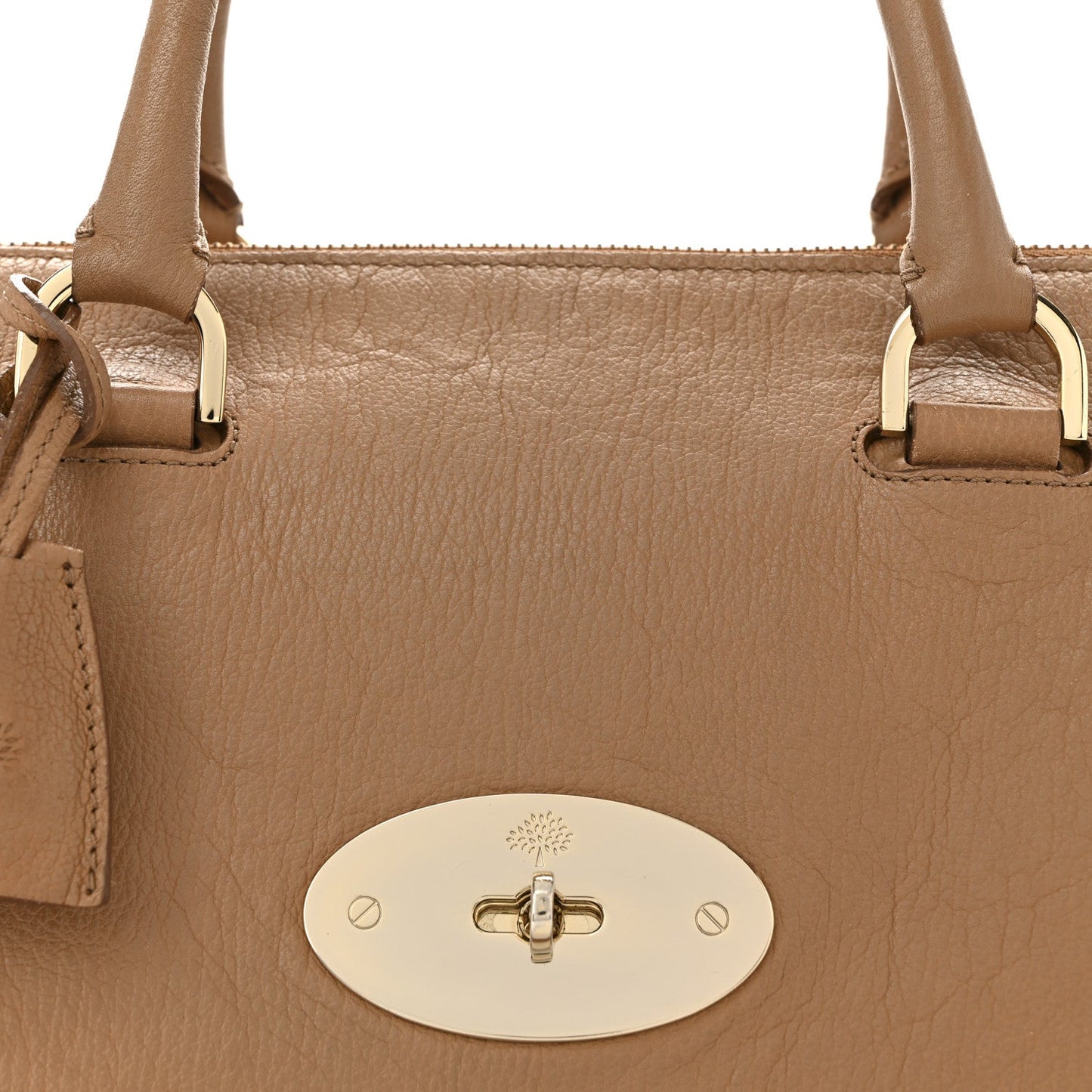 Glossy Goatskin Medium Del Rey Satchel Fudge