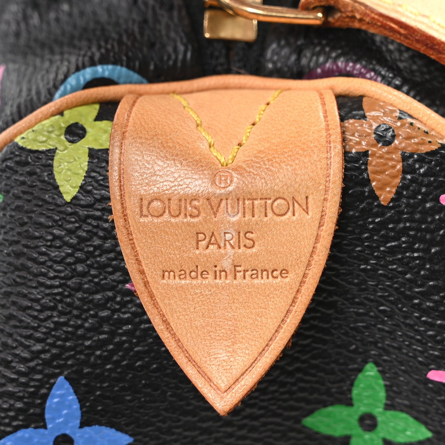 Monogram Multicolor Speedy 30 Black