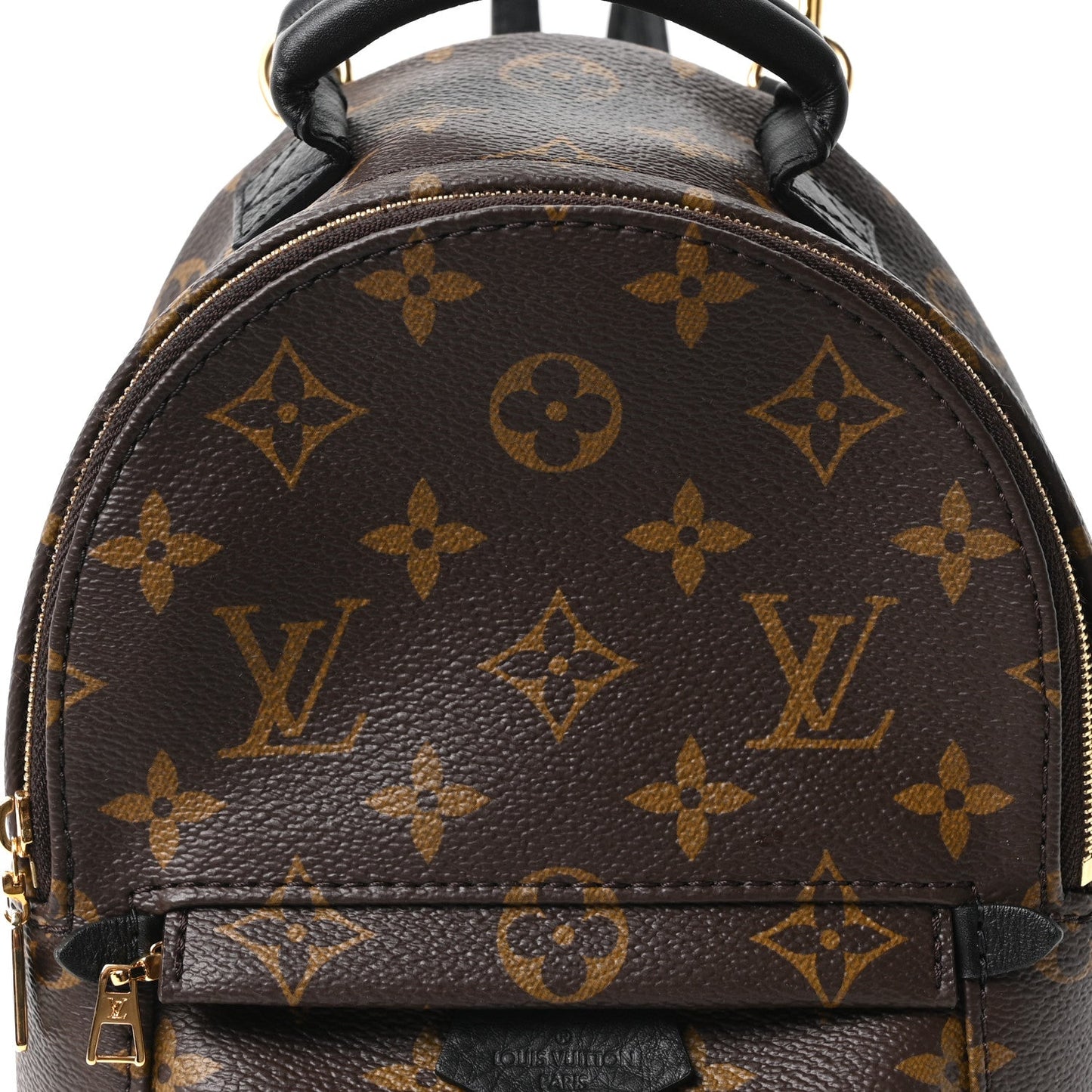 Monogram Palm Springs Backpack Mini