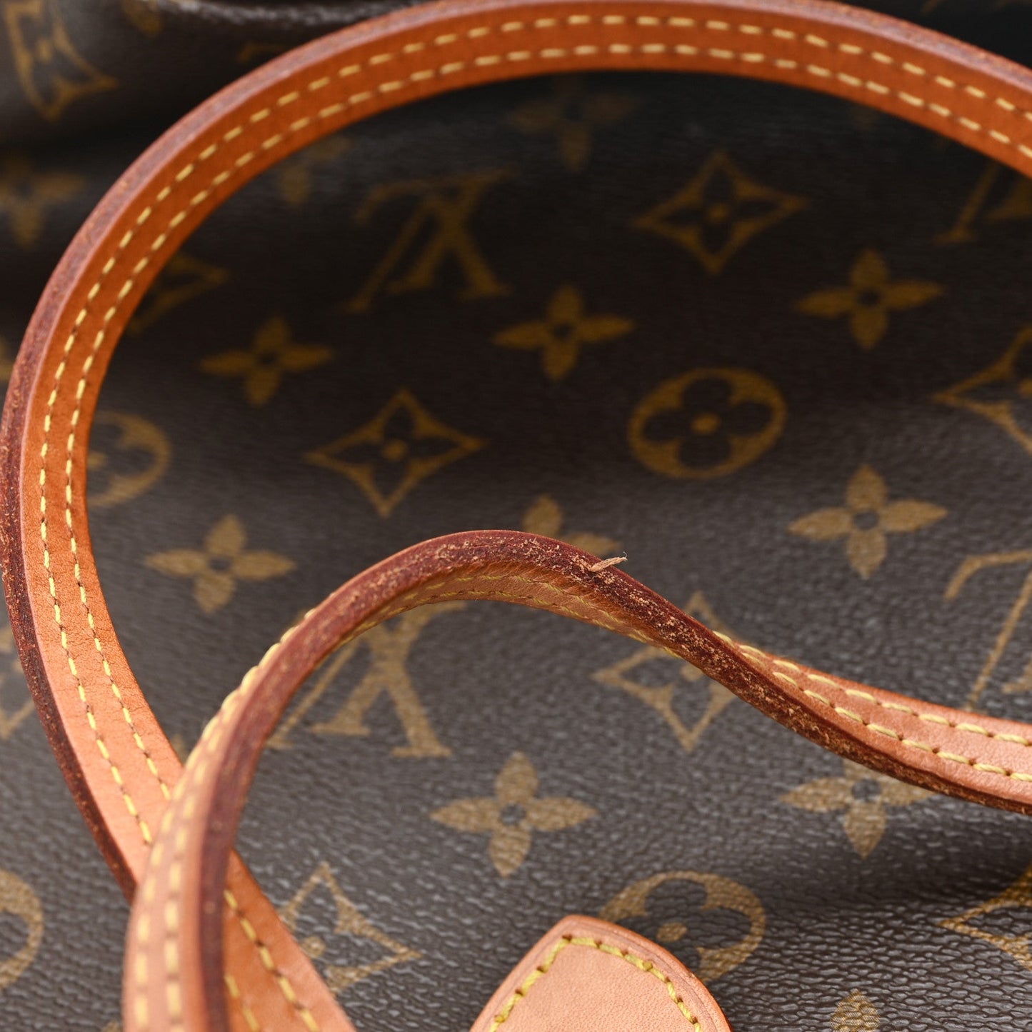 Monogram Neo Neverfull MM