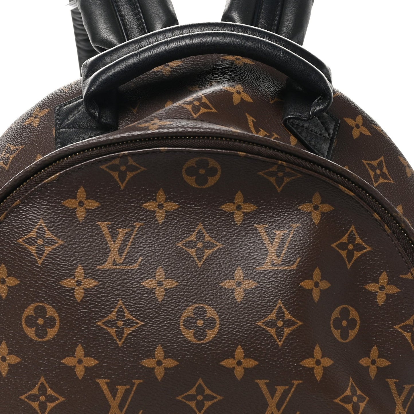Monogram Palm Springs Backpack MM