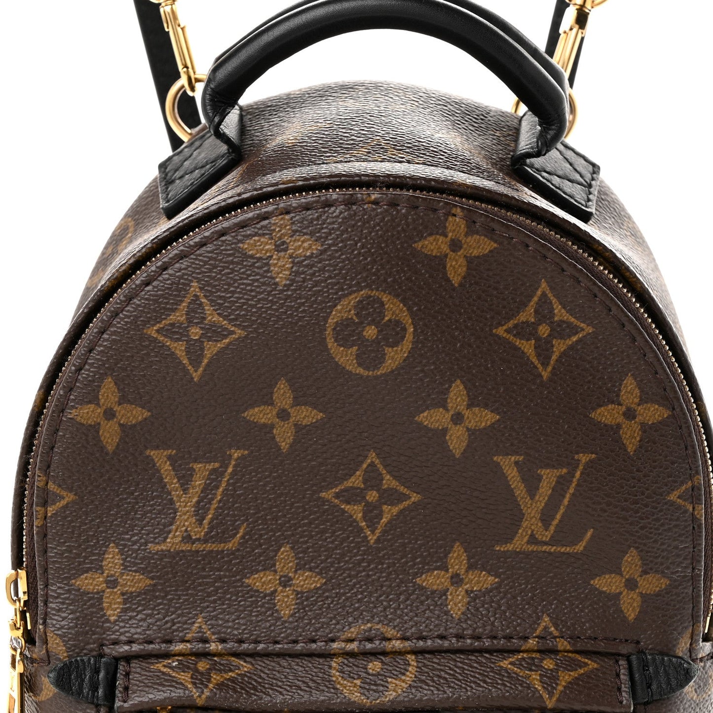 Monogram Palm Springs Backpack Mini