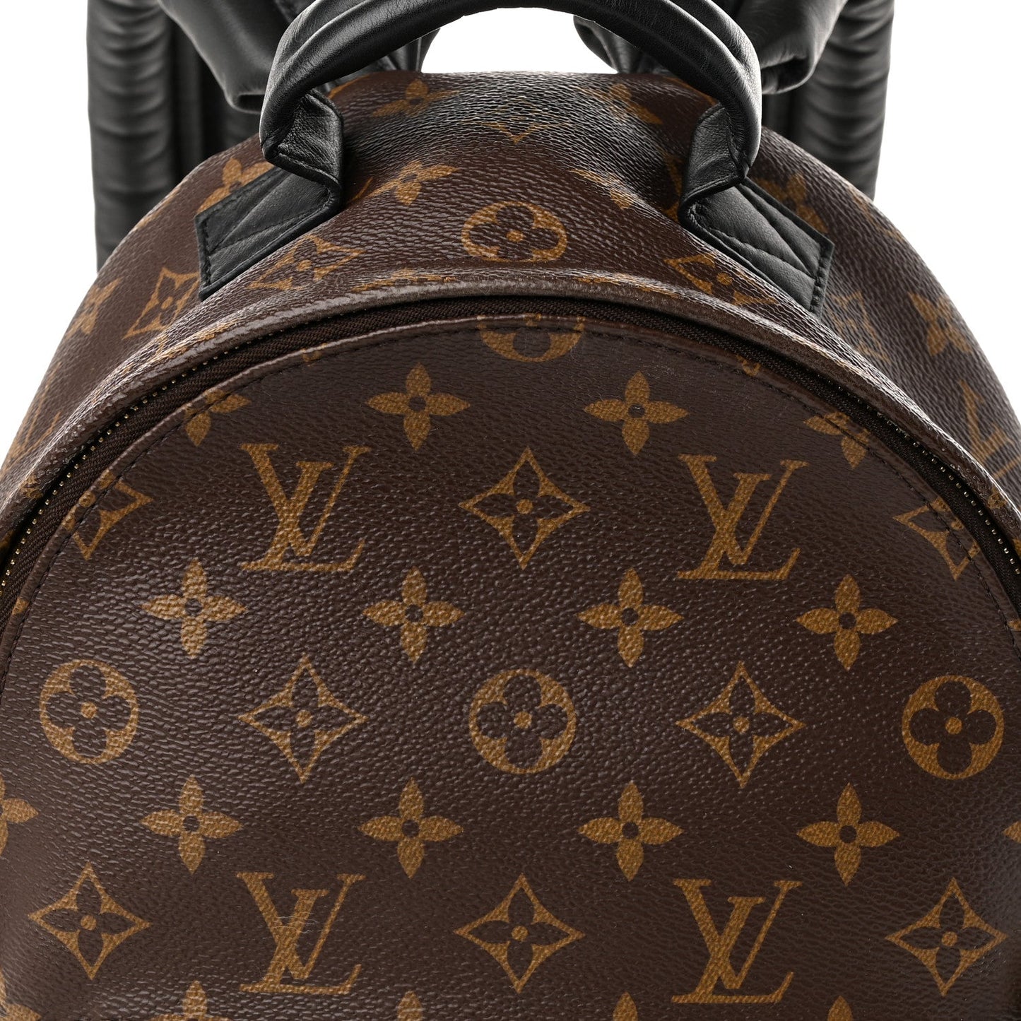 Monogram Palm Springs Backpack PM
