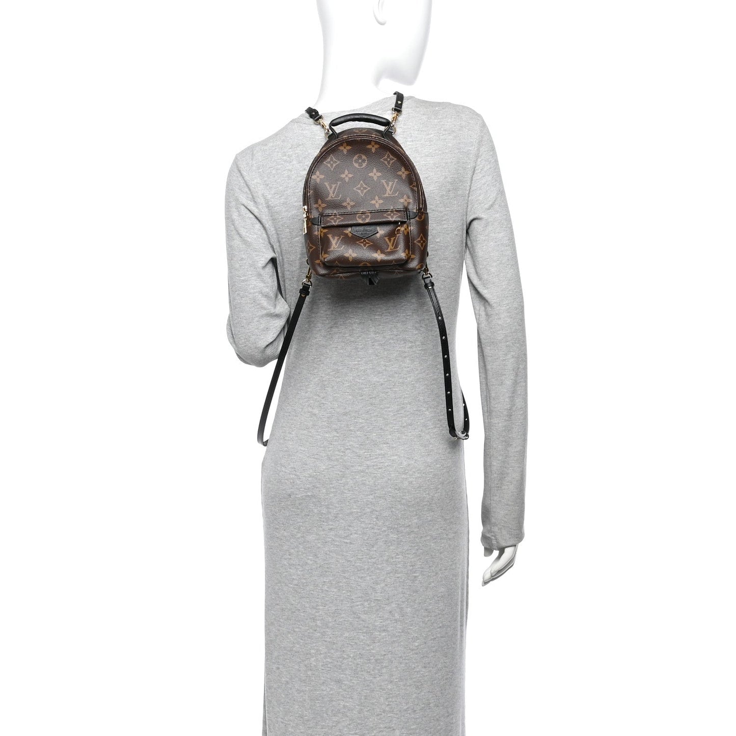 Monogram Palm Springs Backpack Mini