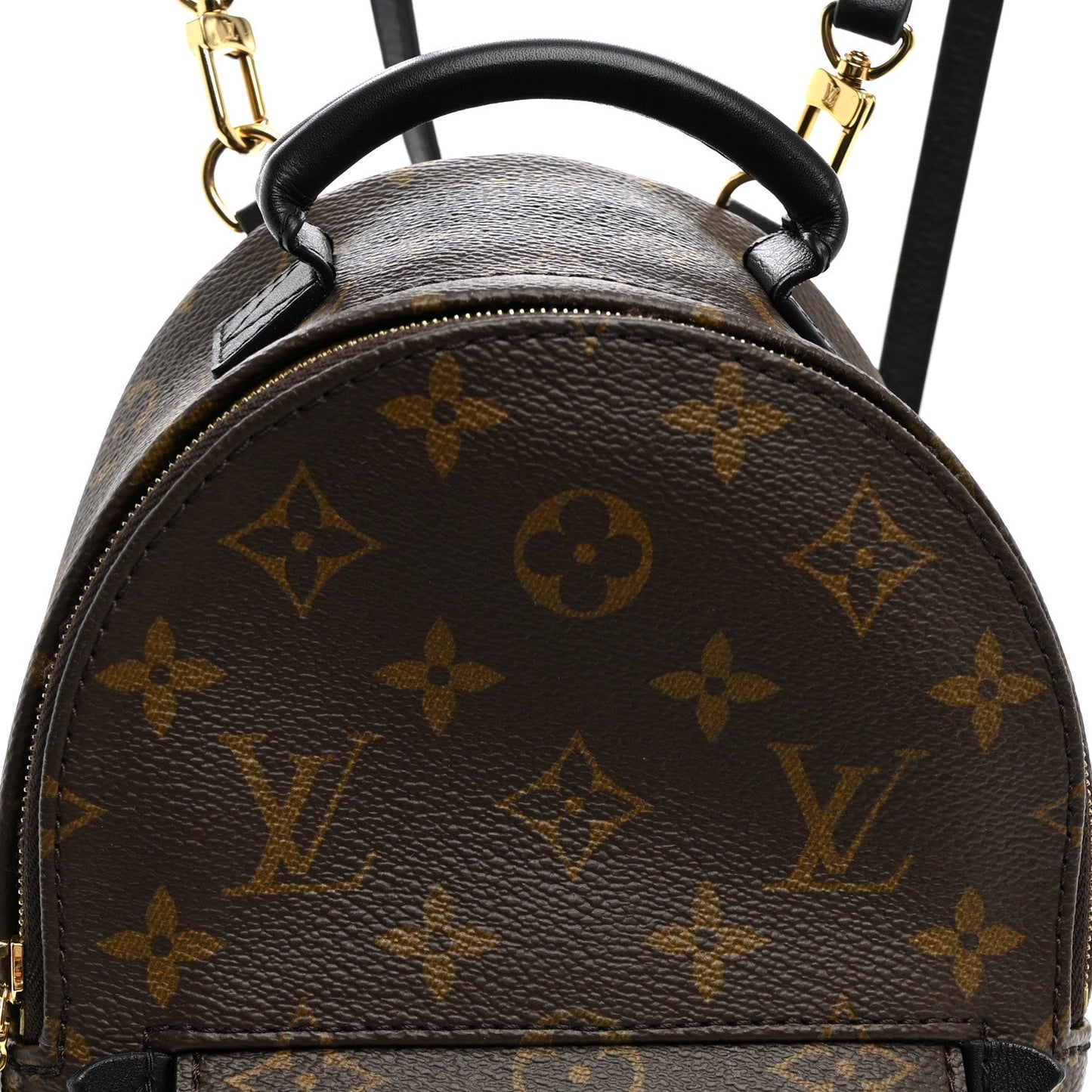 Monogram Palm Springs Backpack Mini