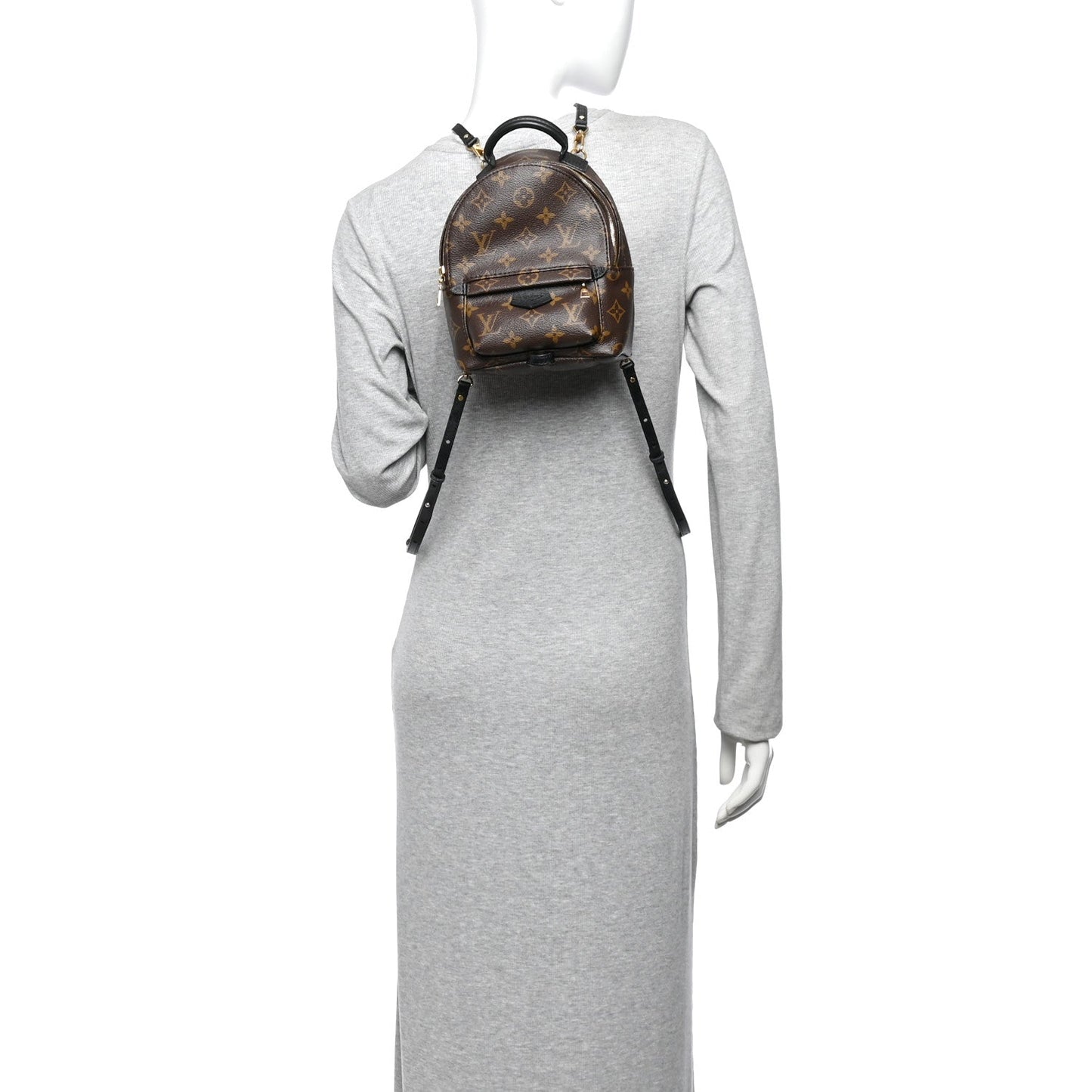 Monogram Palm Springs Backpack Mini