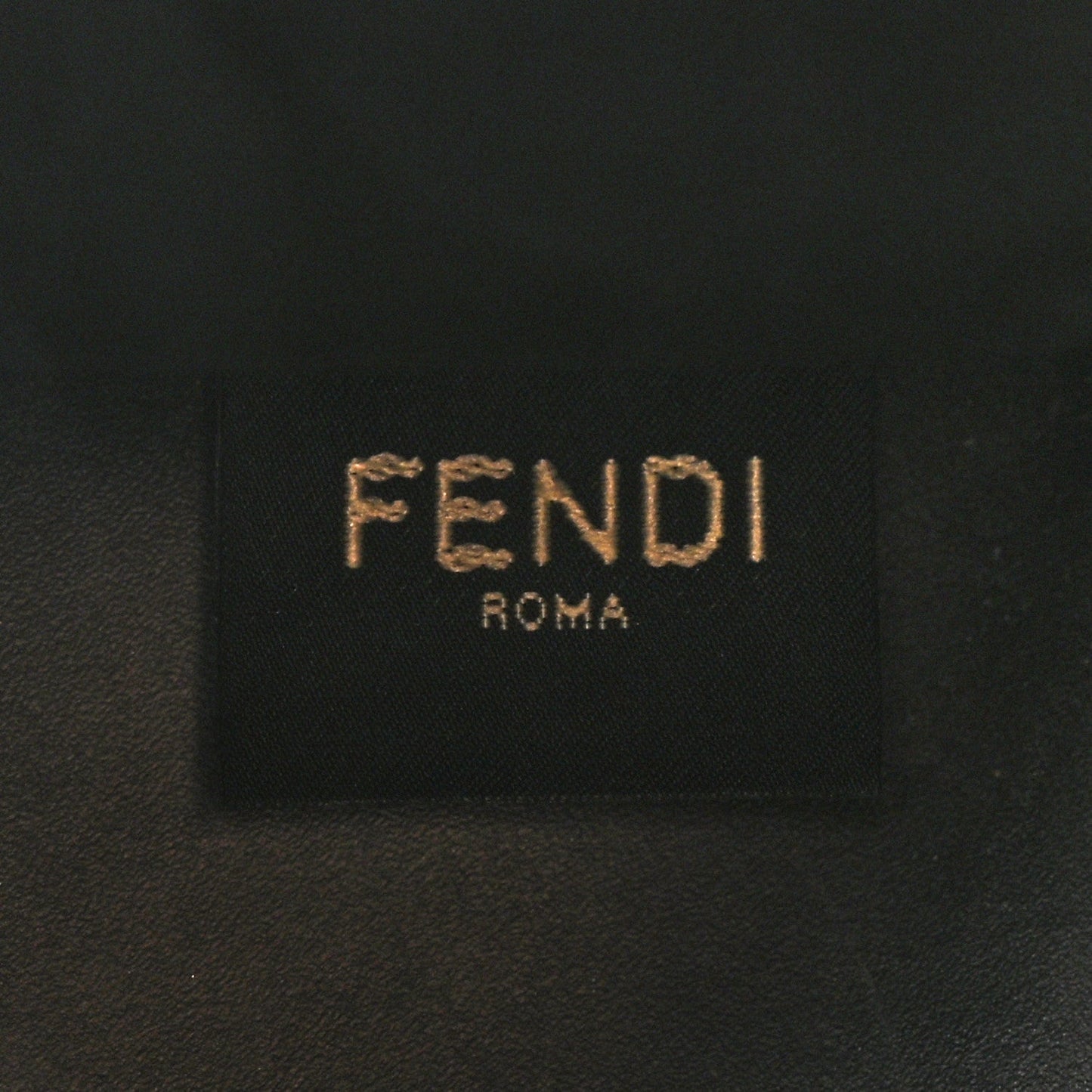 Vitello King Plexiglass Small Fendi Sunshine Shopper Tote Black