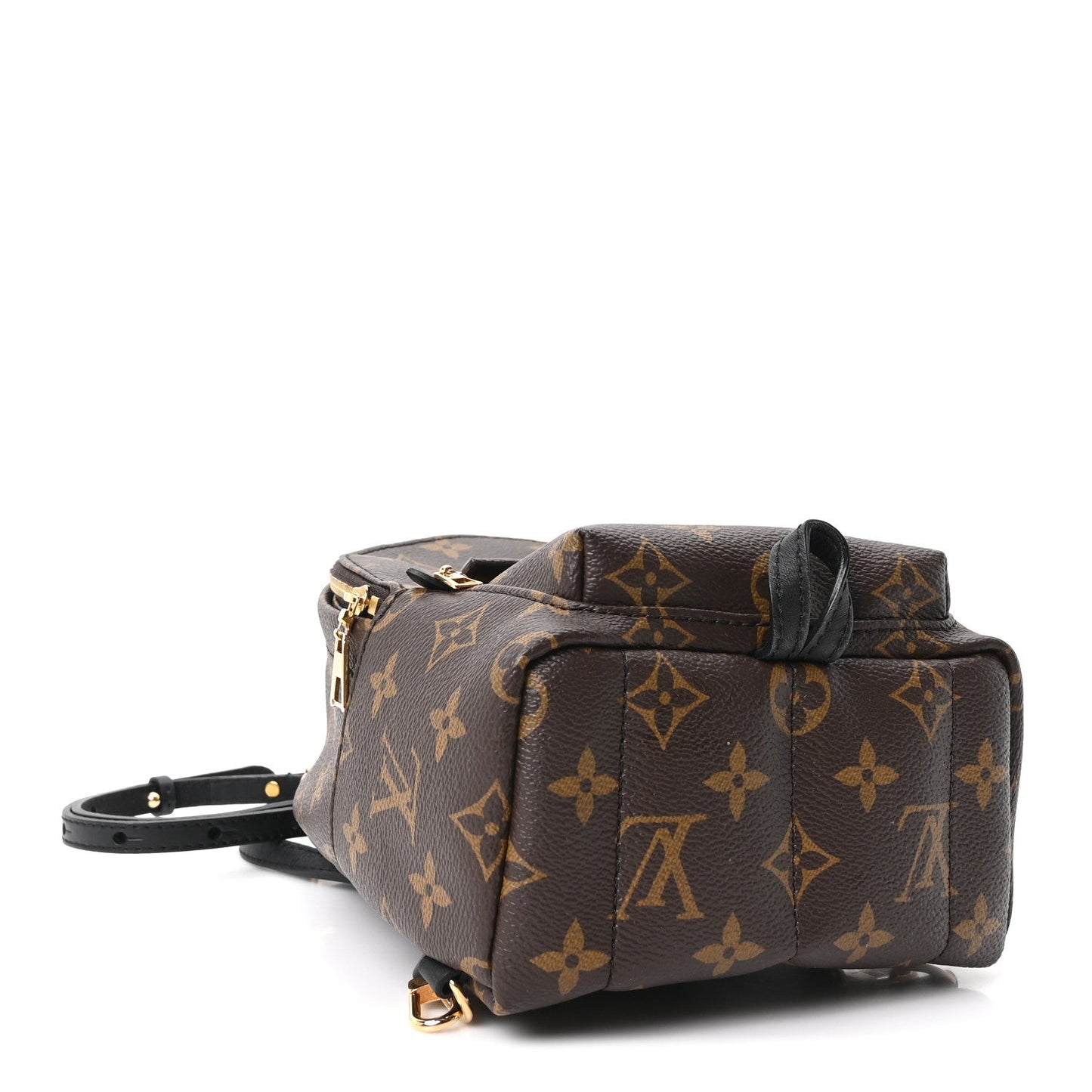 Monogram Palm Springs Backpack Mini