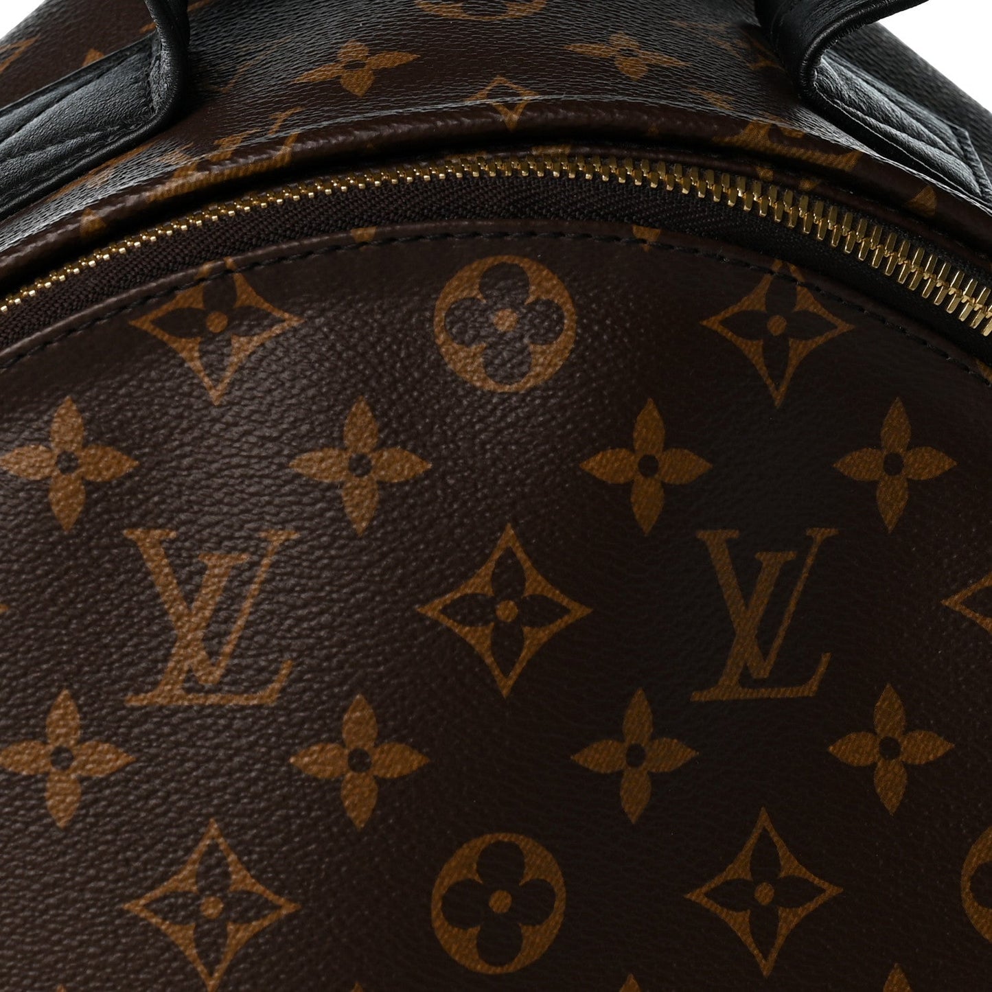 Monogram Palm Springs Backpack MM