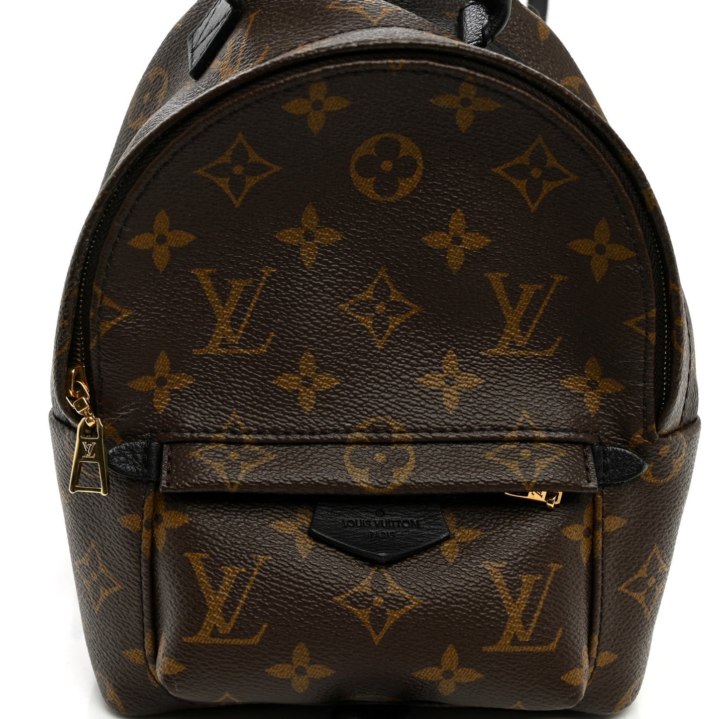 Monogram Palm Springs Backpack Mini