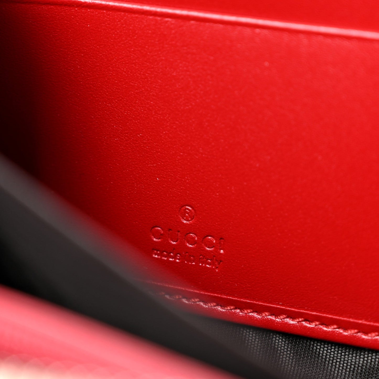 Guccissima Web Zip Around Wallet Red