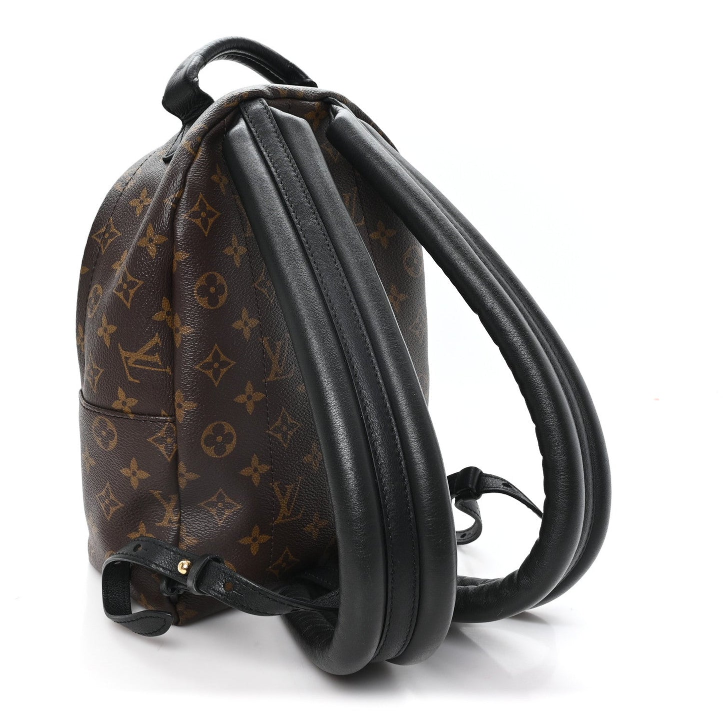 Monogram Palm Springs Backpack PM