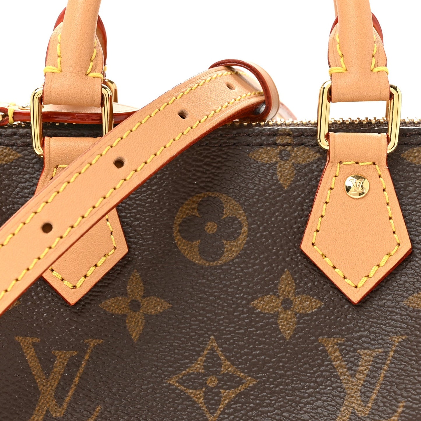 Monogram Nano Speedy Bandouliere