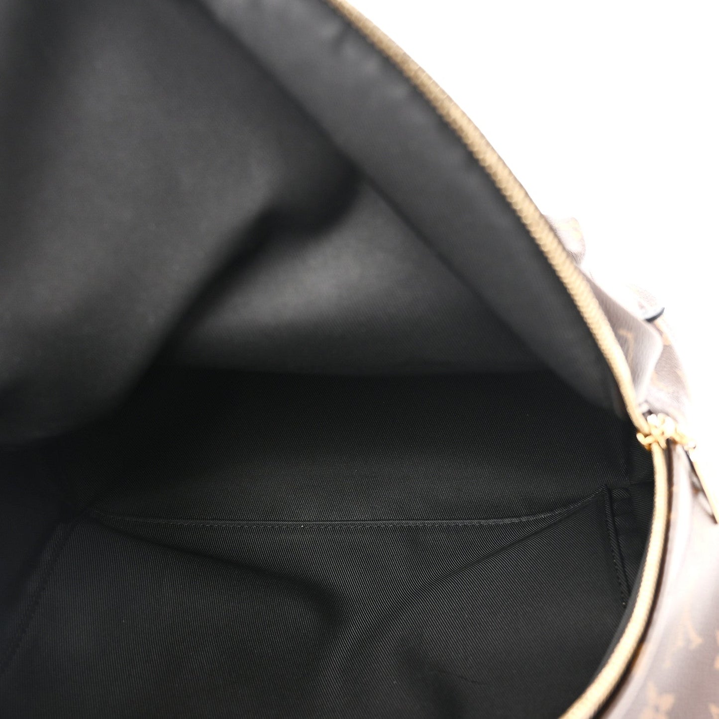Monogram Palm Springs Backpack MM