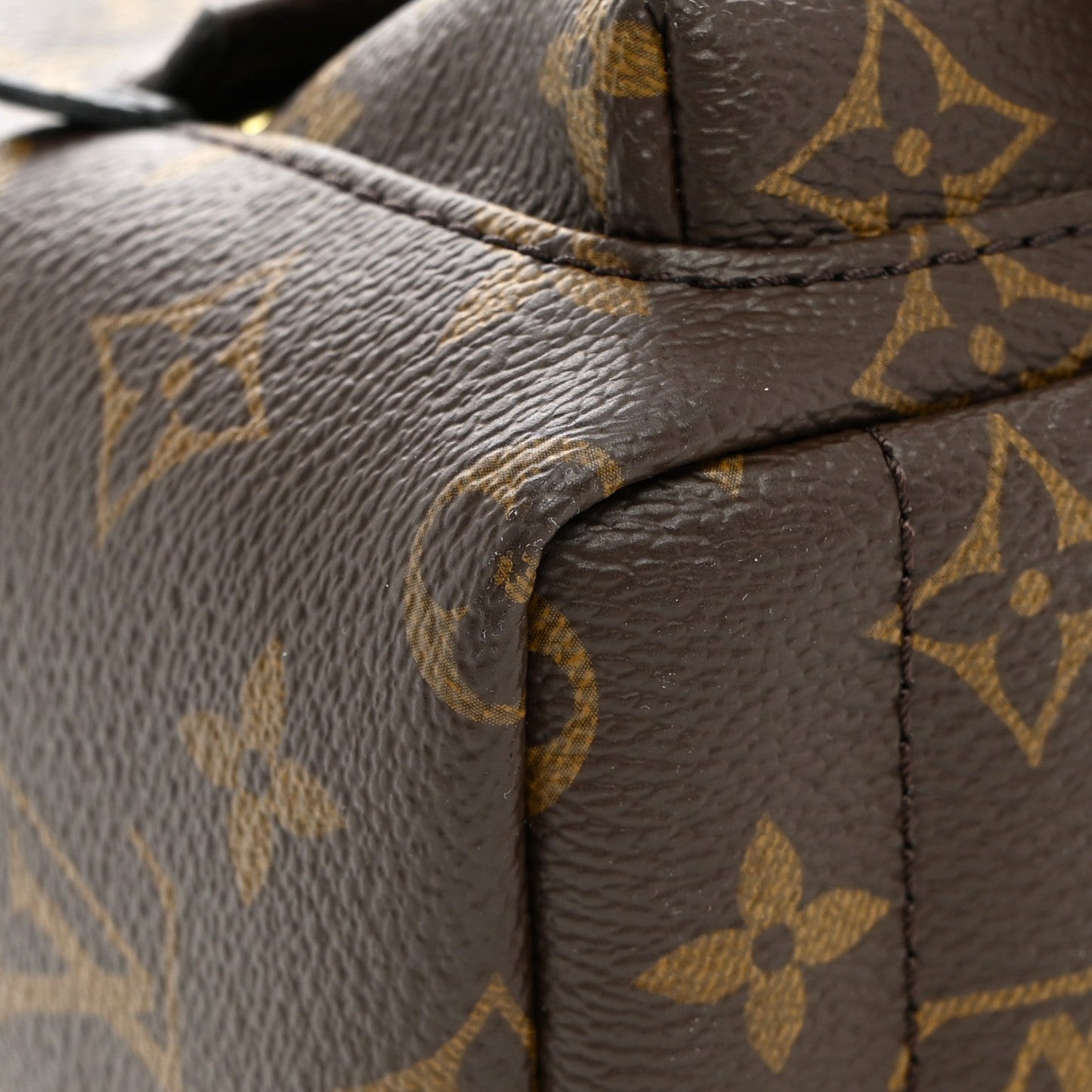 Monogram Palm Springs Backpack Mini