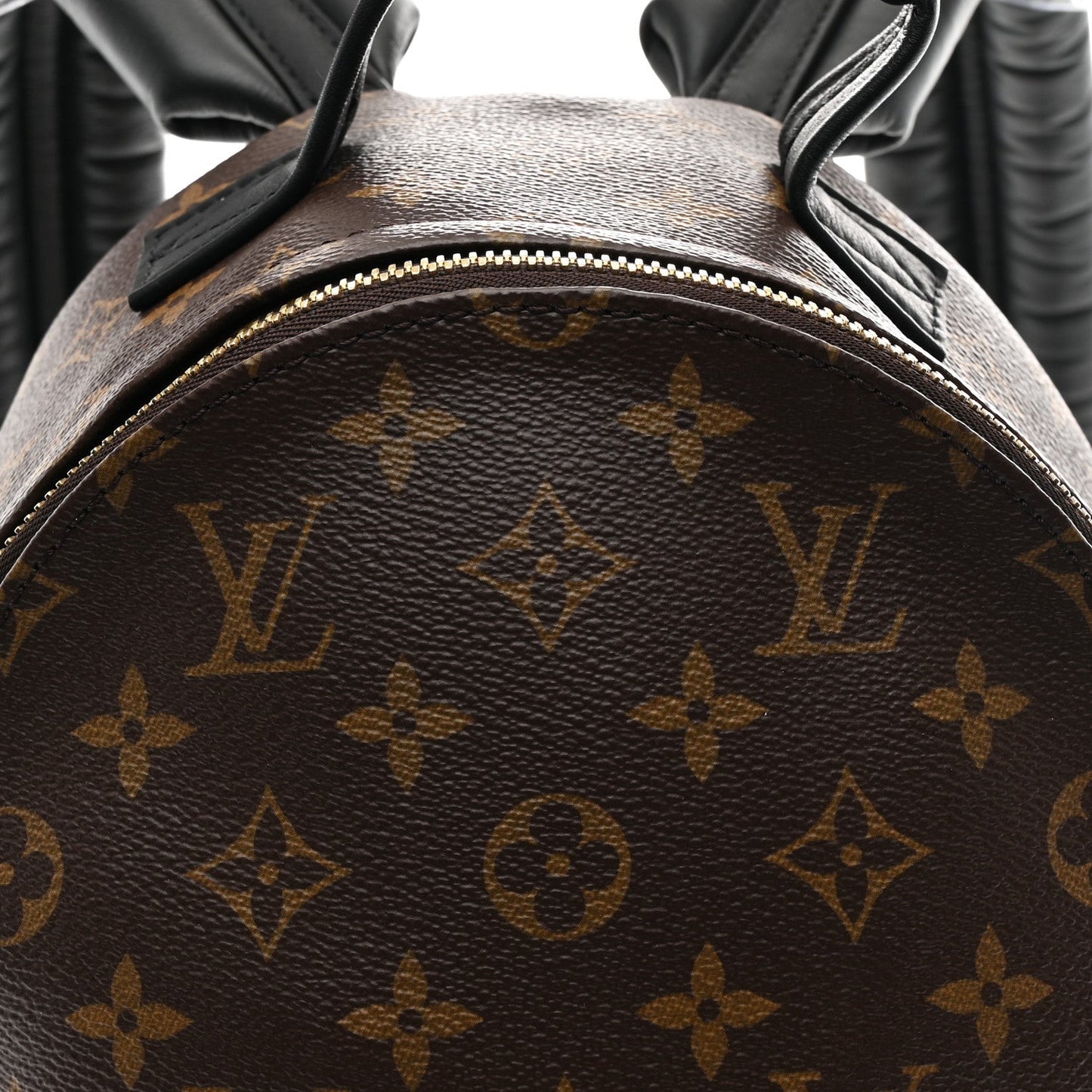 Monogram Palm Springs Backpack PM