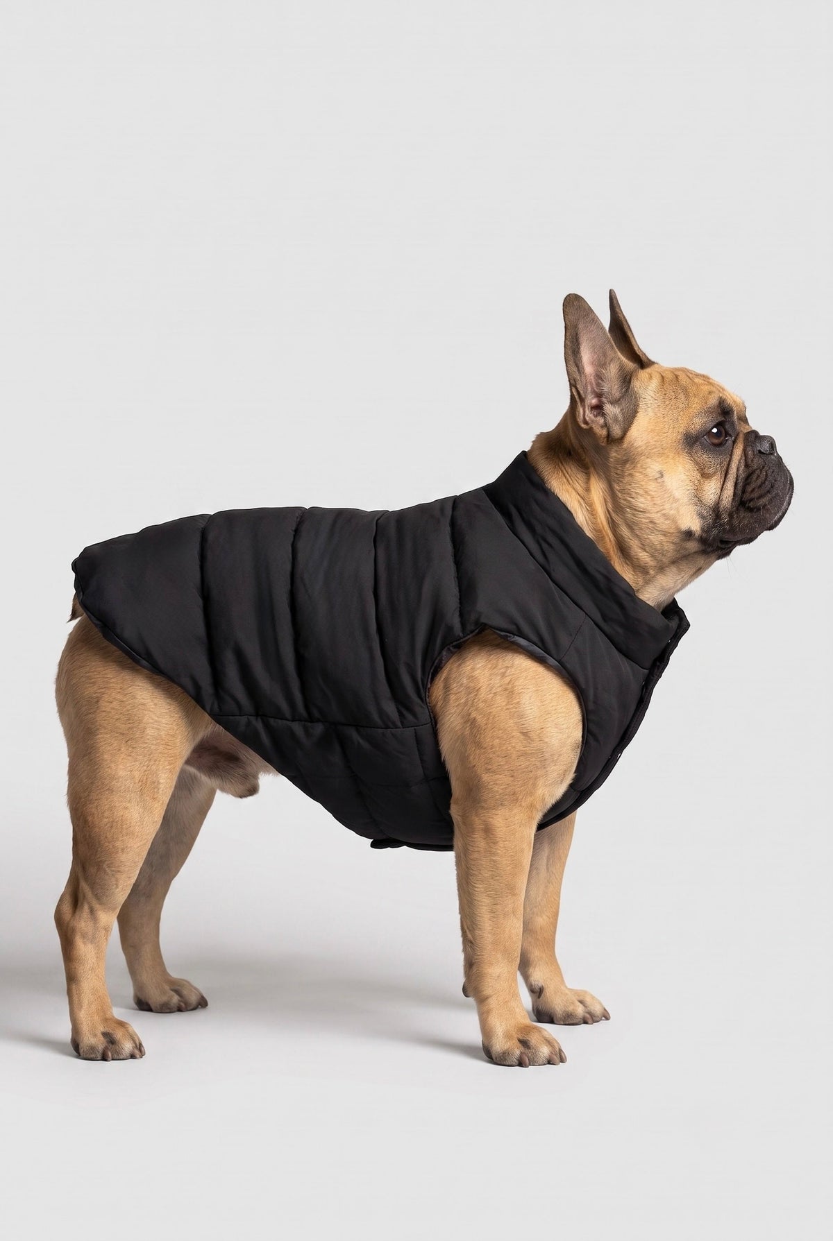 Puff-O® Pet Puffer Jacket