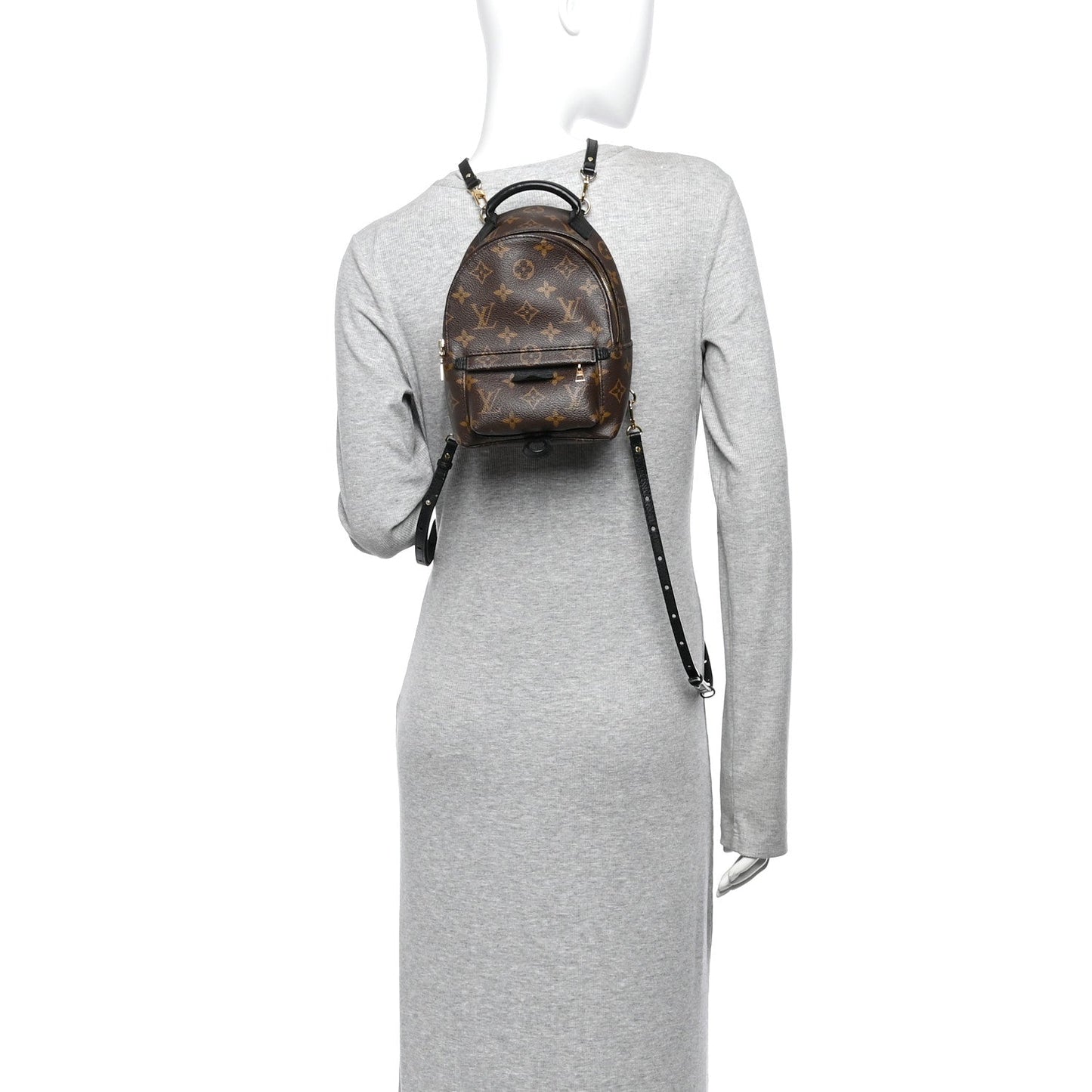 Monogram Palm Springs Backpack Mini